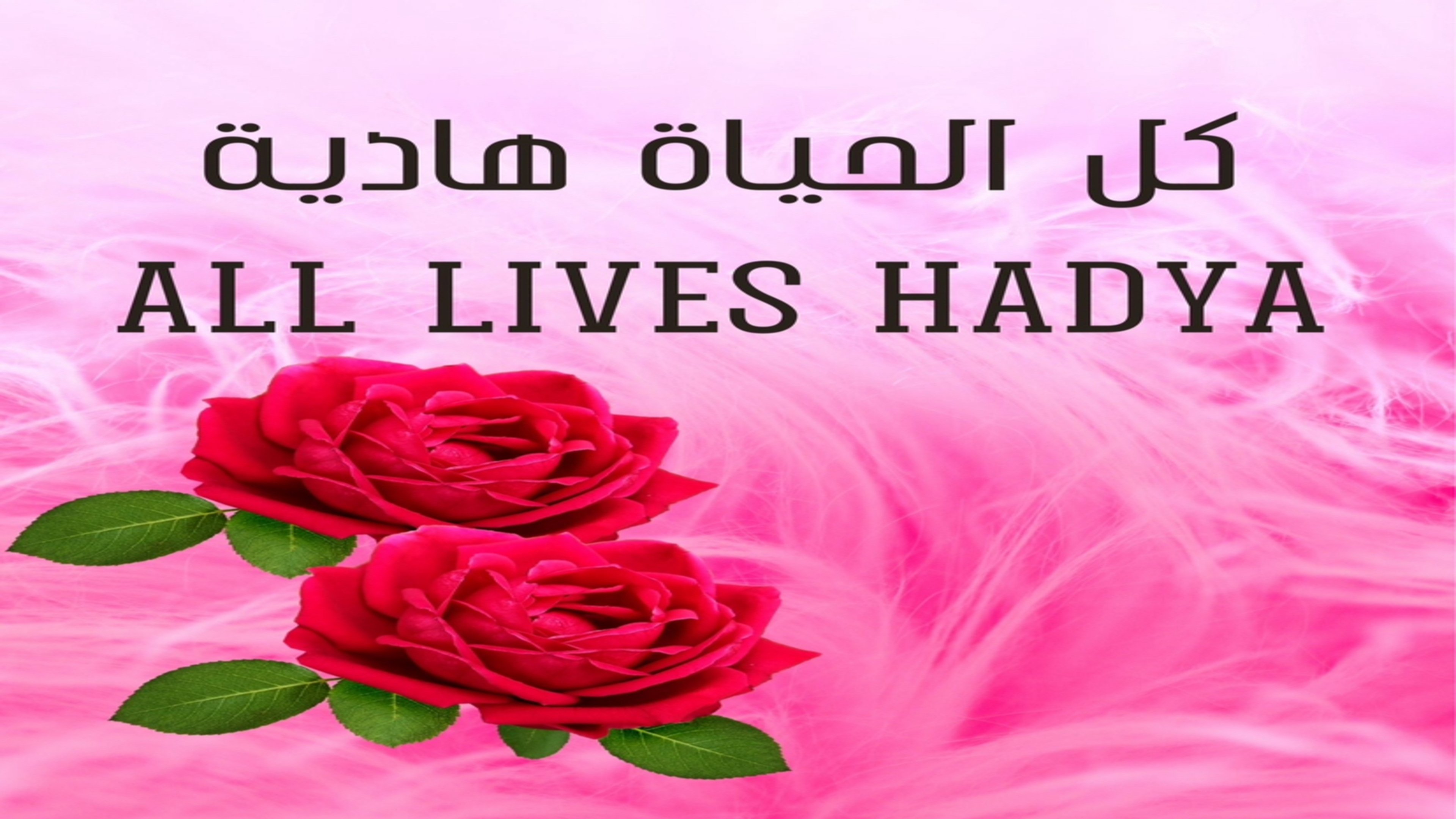 كل الحياة هادية|كل الحياة هادية