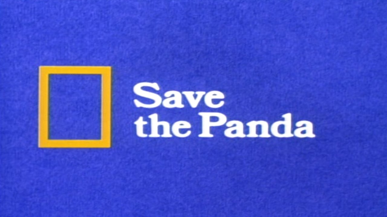 Save the Panda|Save the Panda