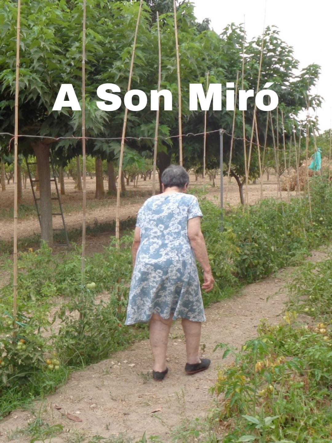 A Son Miró | A Son Miró