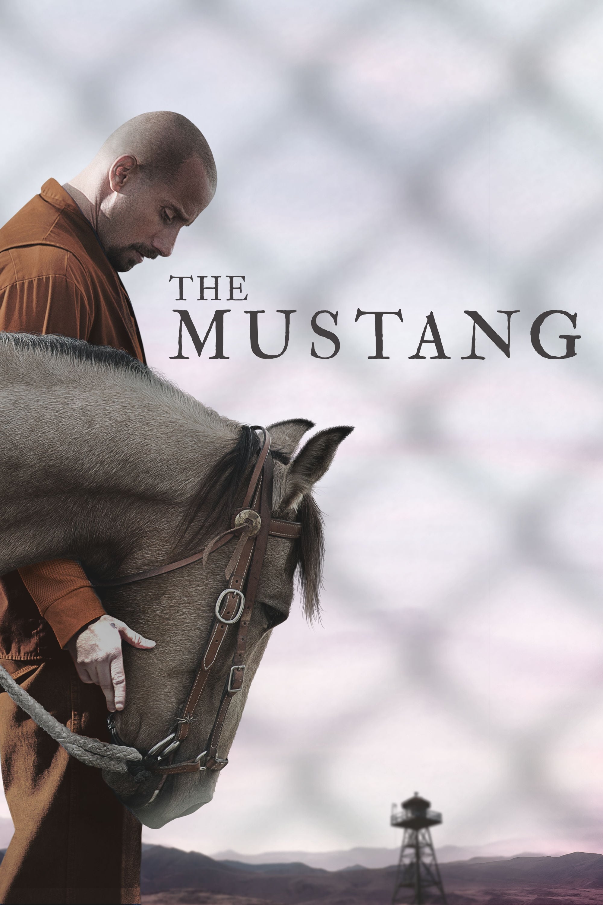 The Mustang | The Mustang