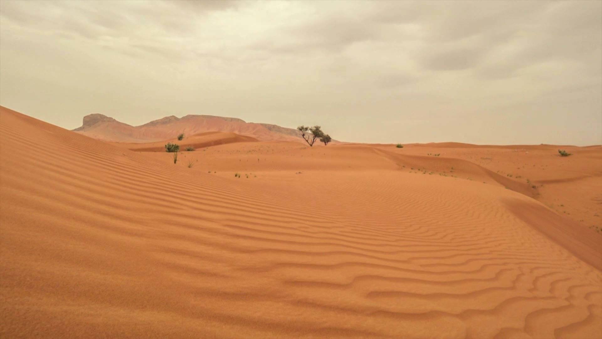 تصویر 0