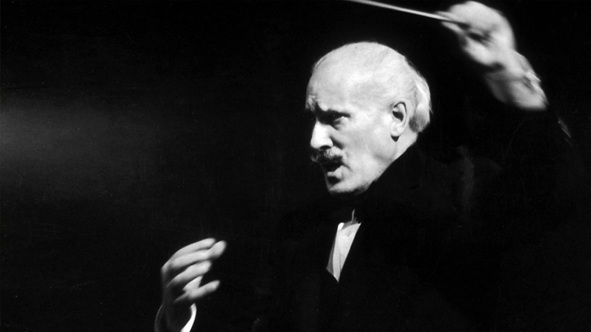 Toscanini in His Own Words|Toscanini in His Own Words
