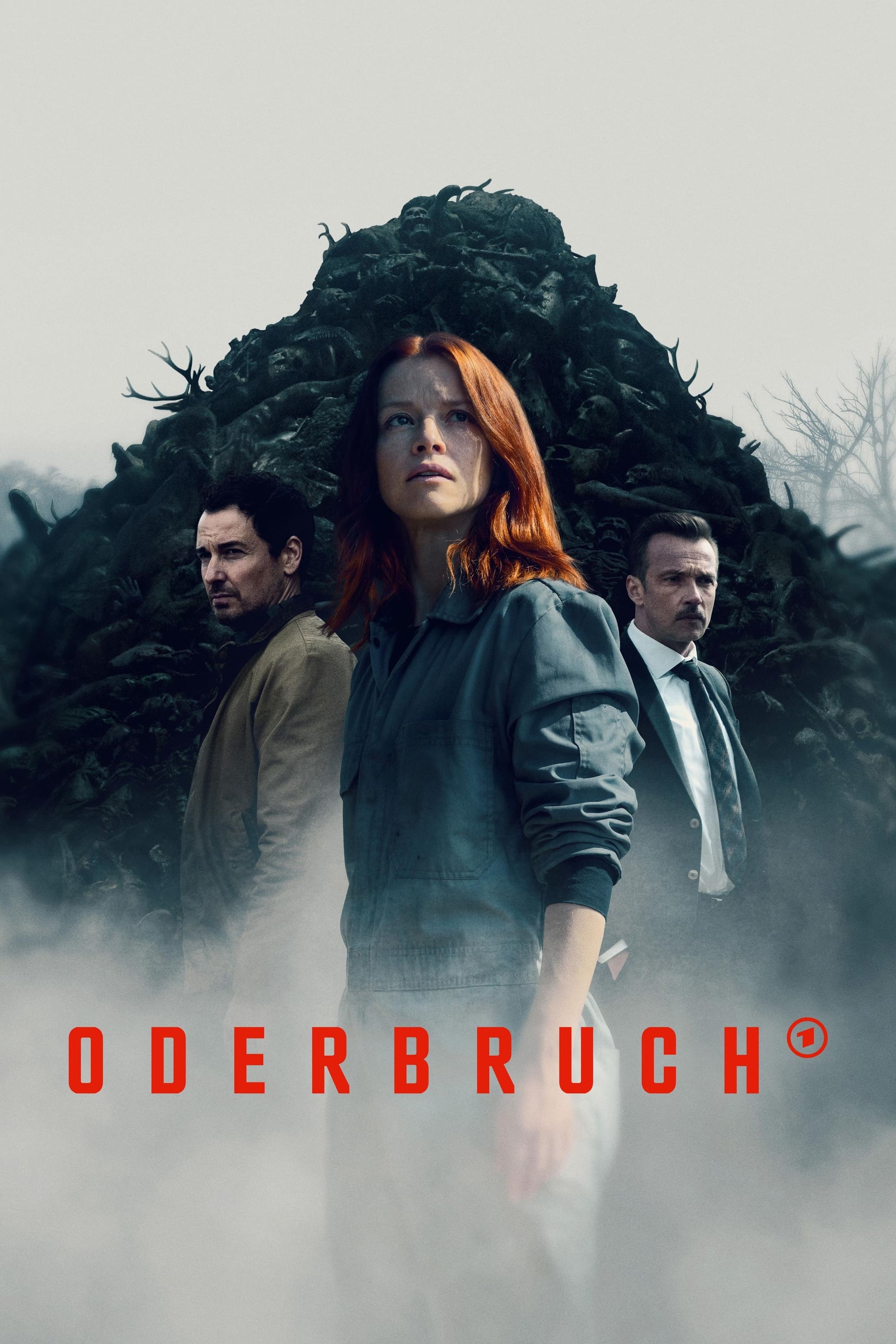 Oderbruch | Oderbruch