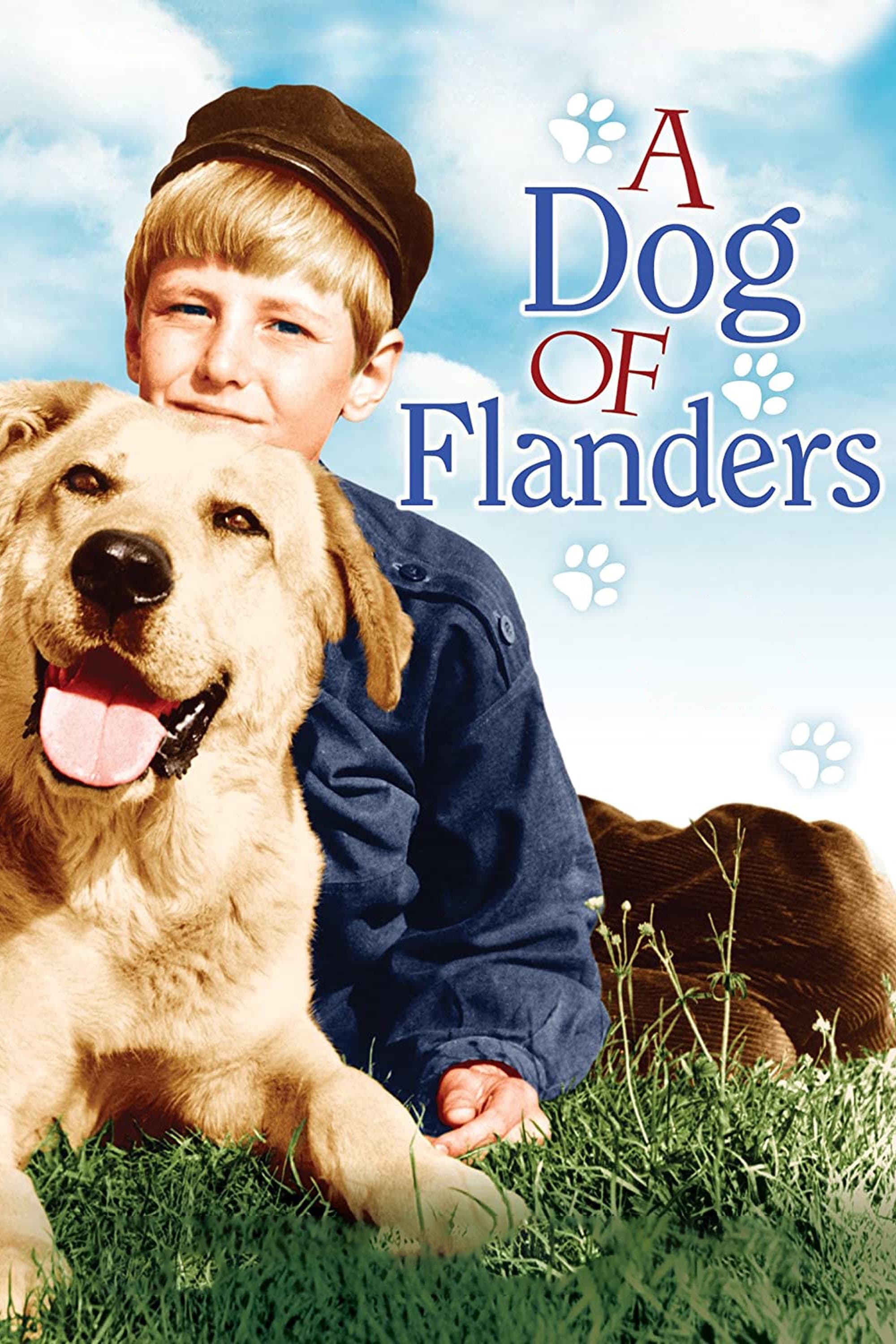 A Dog of Flanders | A Dog of Flanders