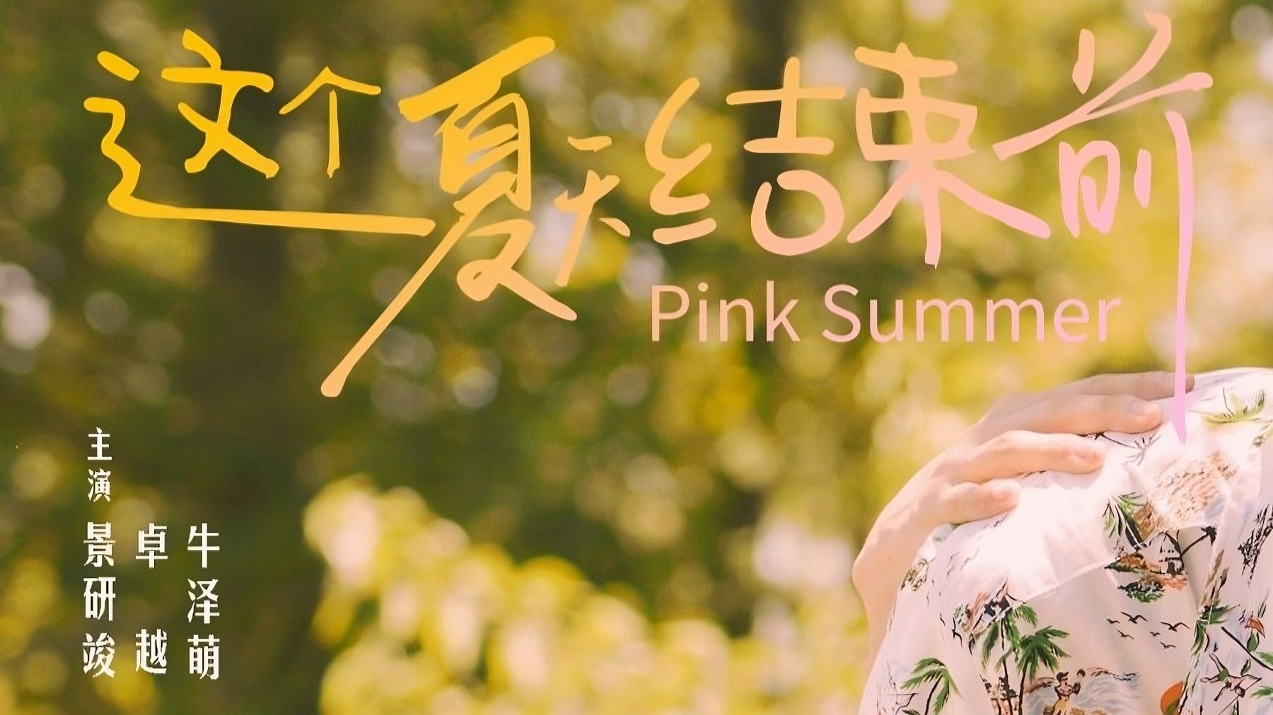 这个夏天结束前|这个夏天结束前