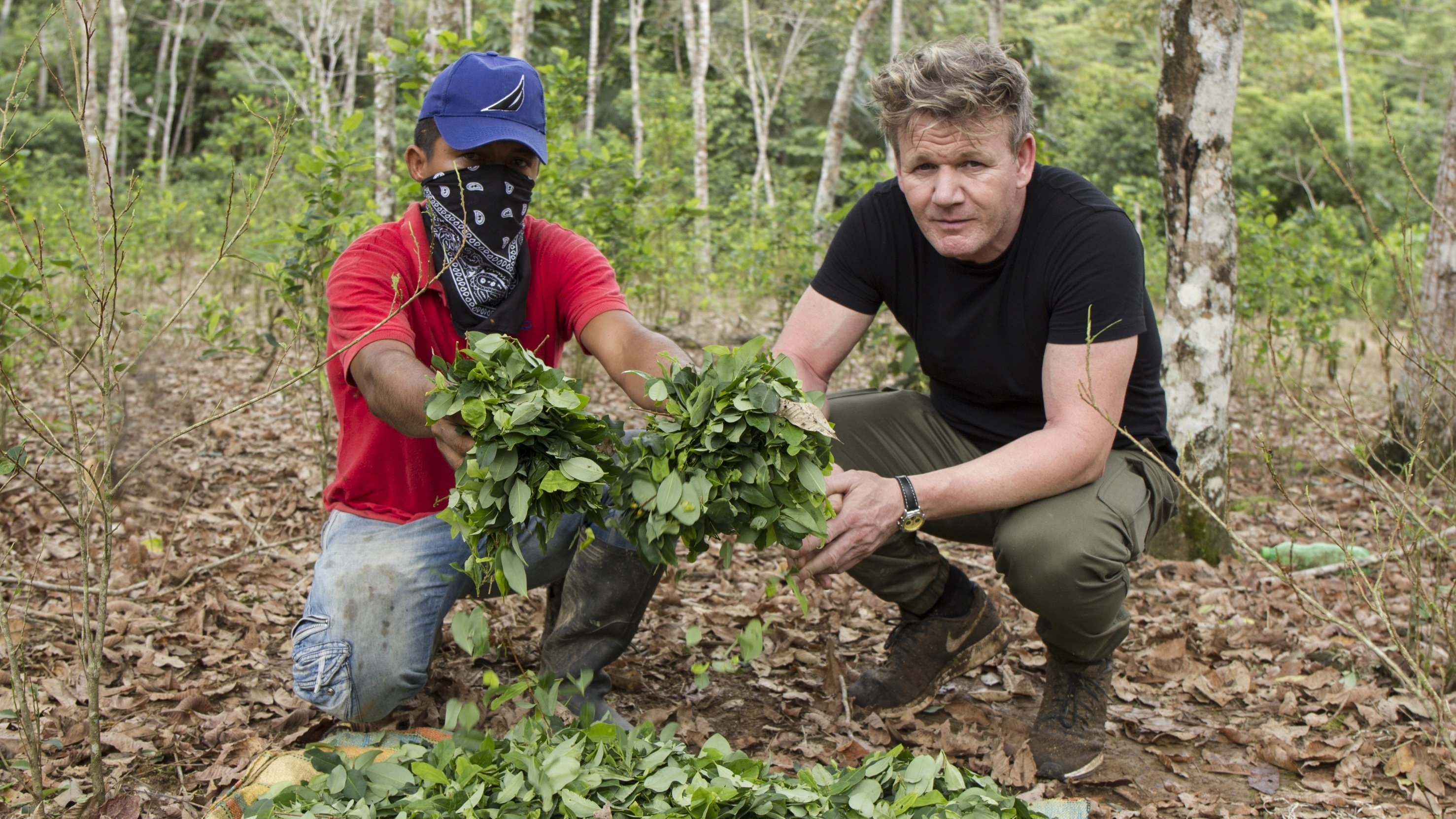 Gordon Ramsay on Cocaine|Gordon Ramsay on Cocaine