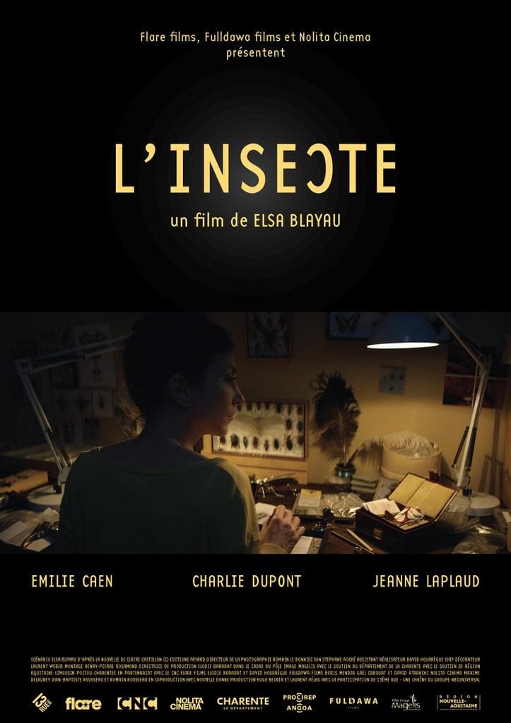 L'Insecte | L'Insecte