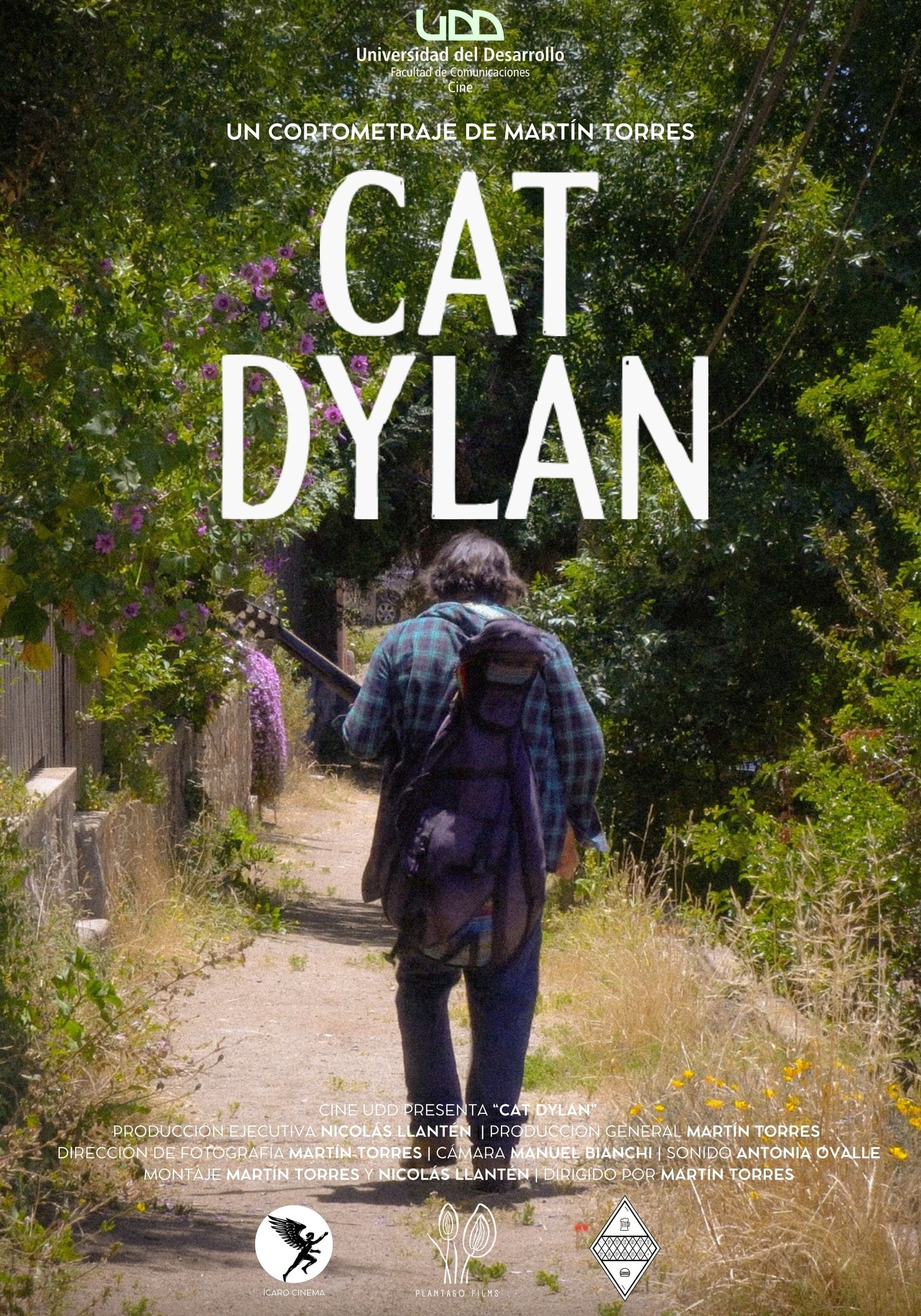 Cat Dylan | Cat Dylan