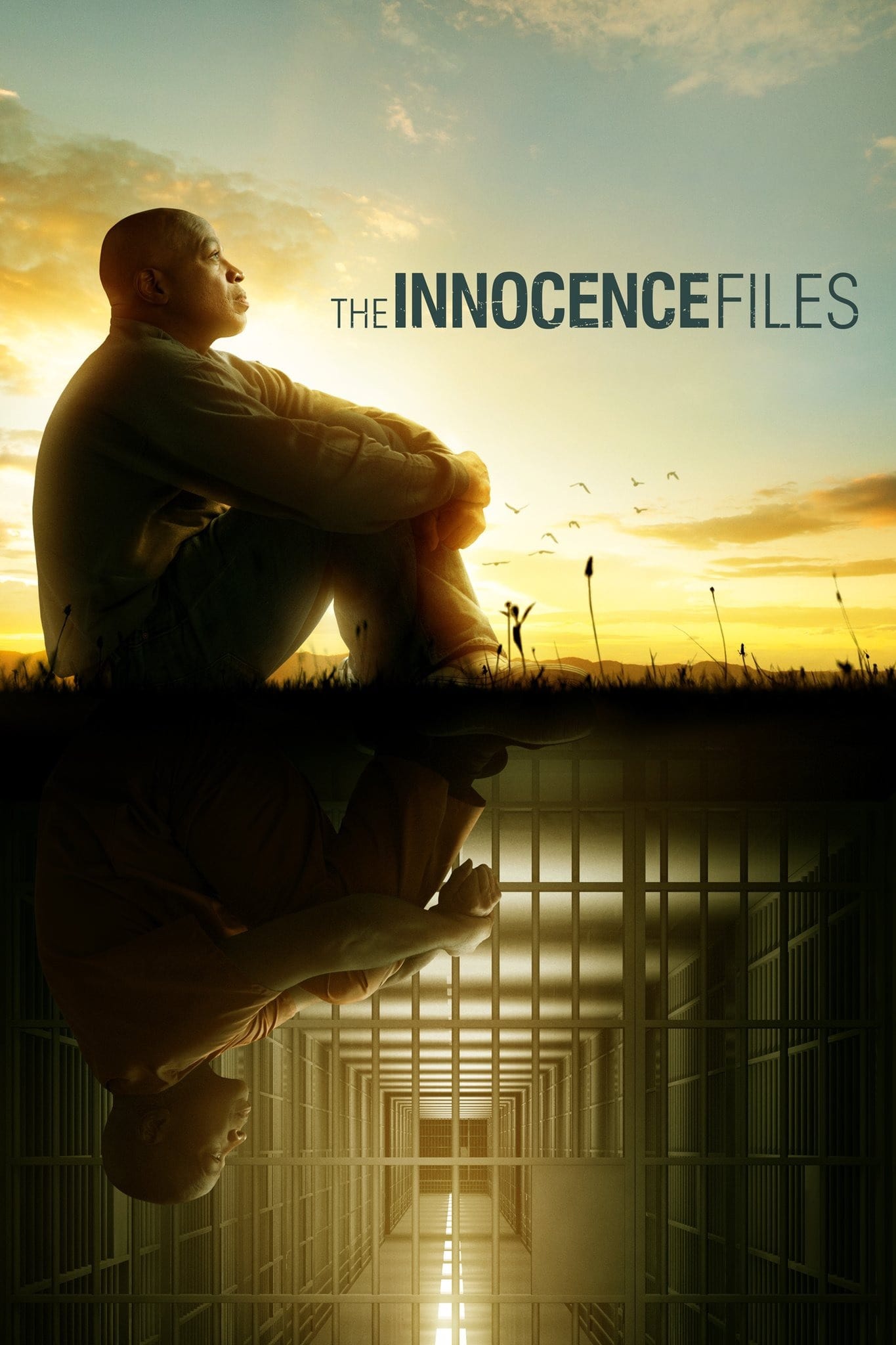 The Innocence Files | The Innocence Files