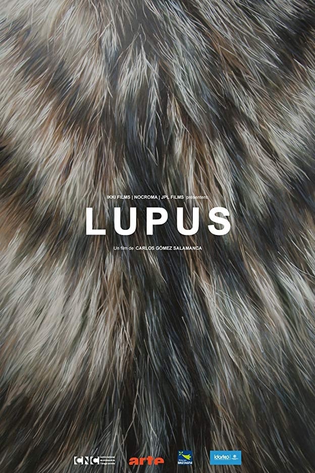 Lupus | Lupus