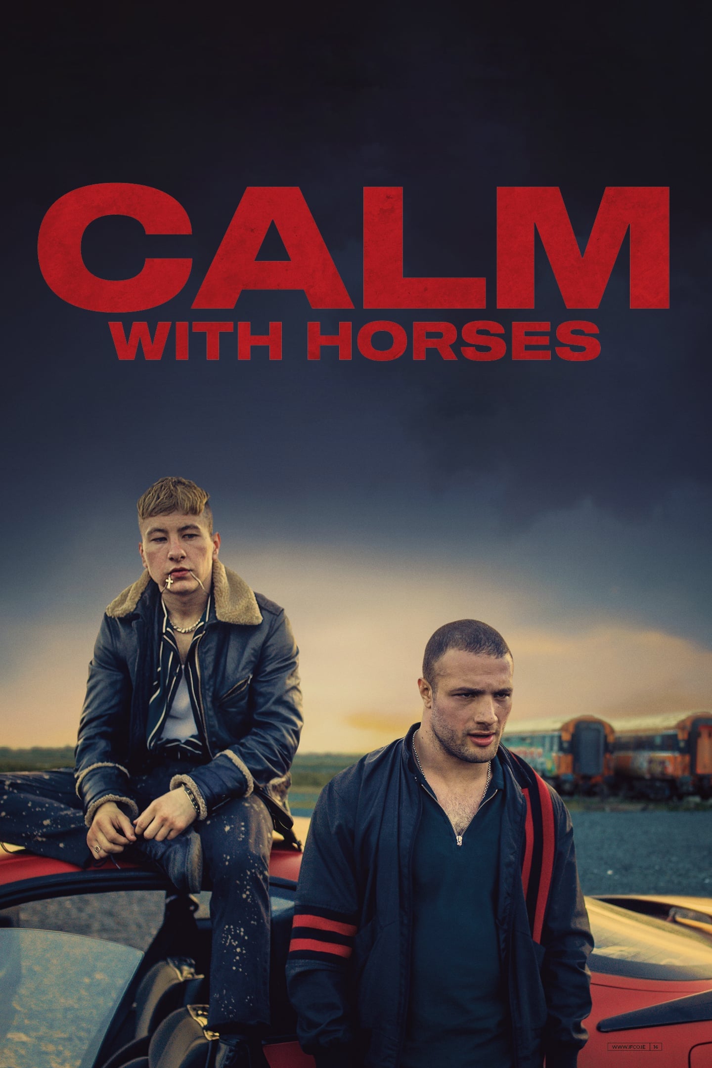 Calm with Horses | Calm with Horses