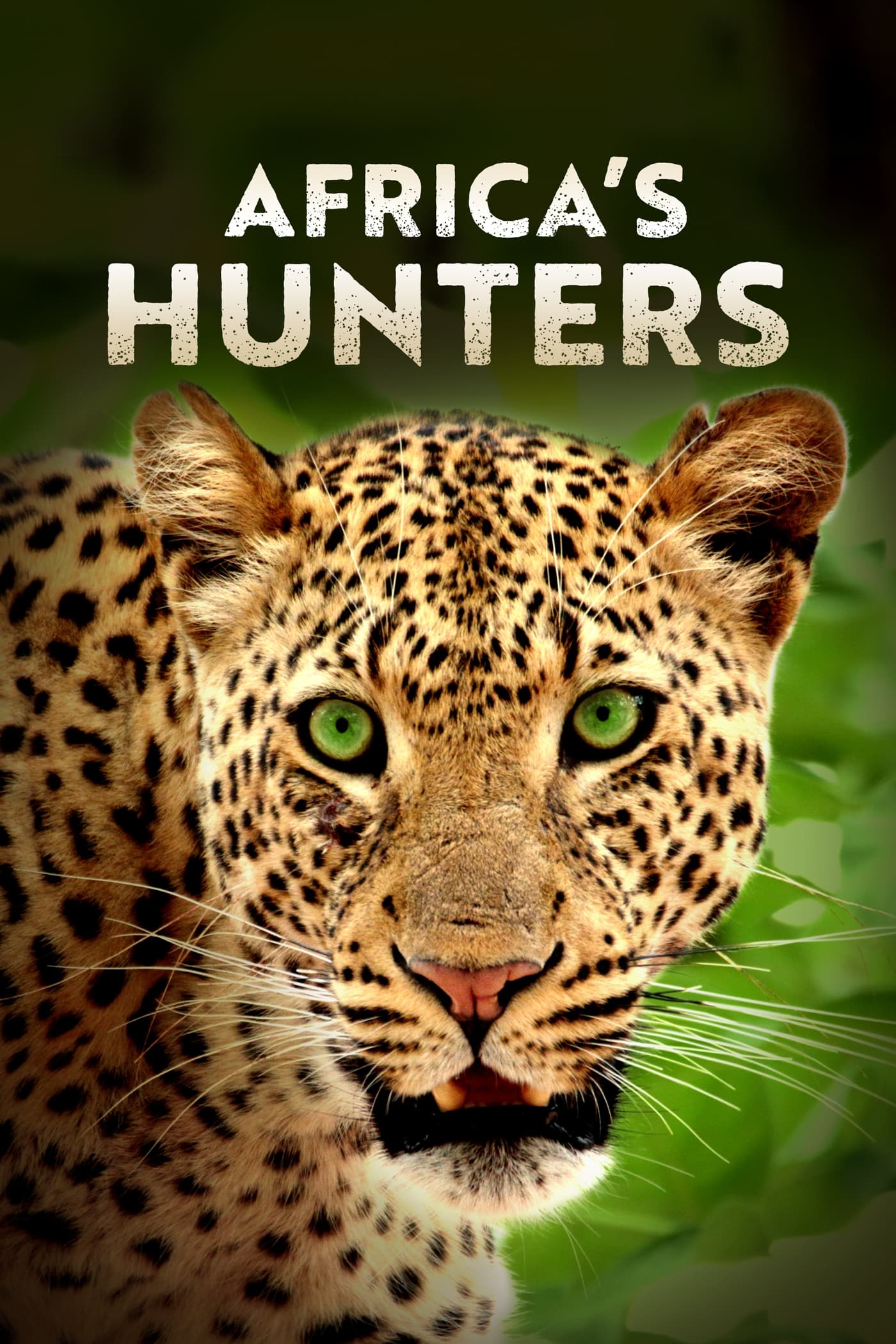 Africa's Hunters | Africa's Hunters