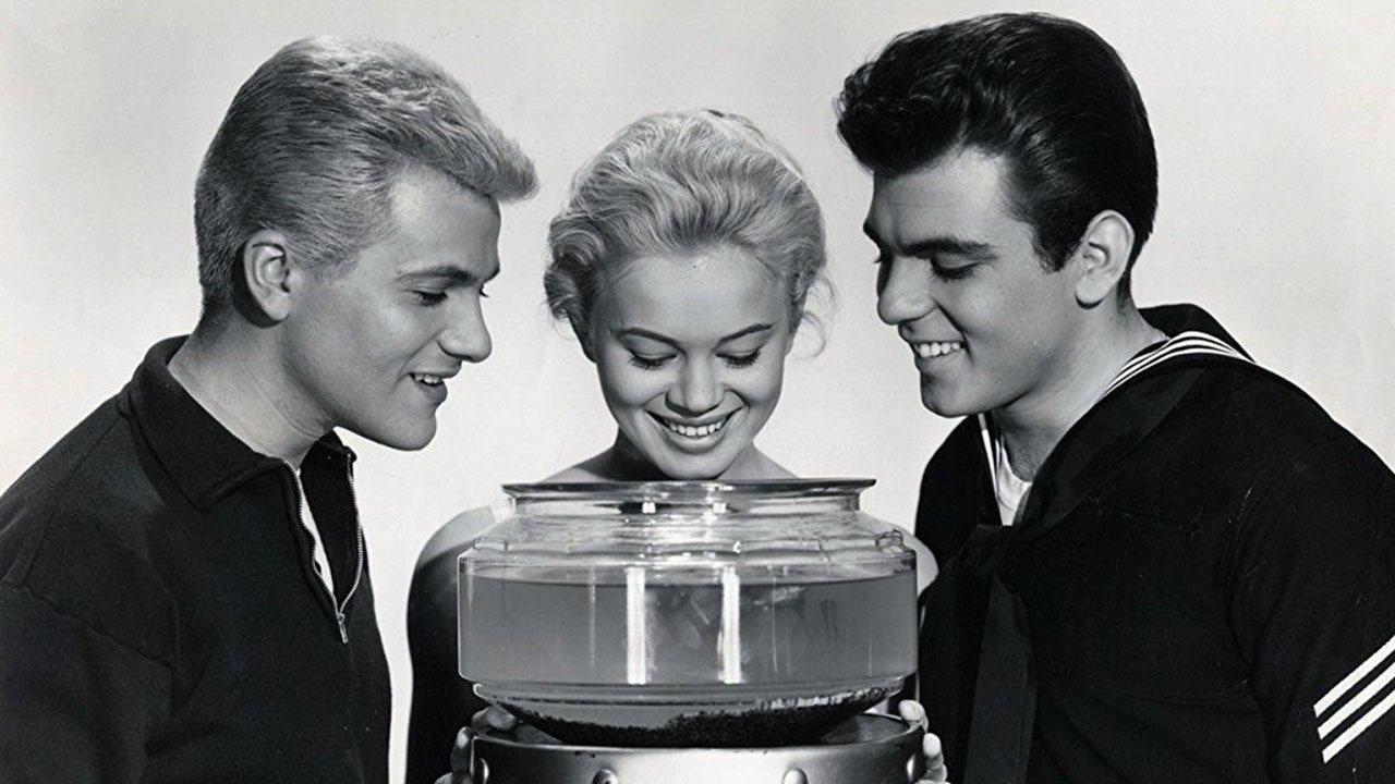 Love in a Goldfish Bowl|Love in a Goldfish Bowl
