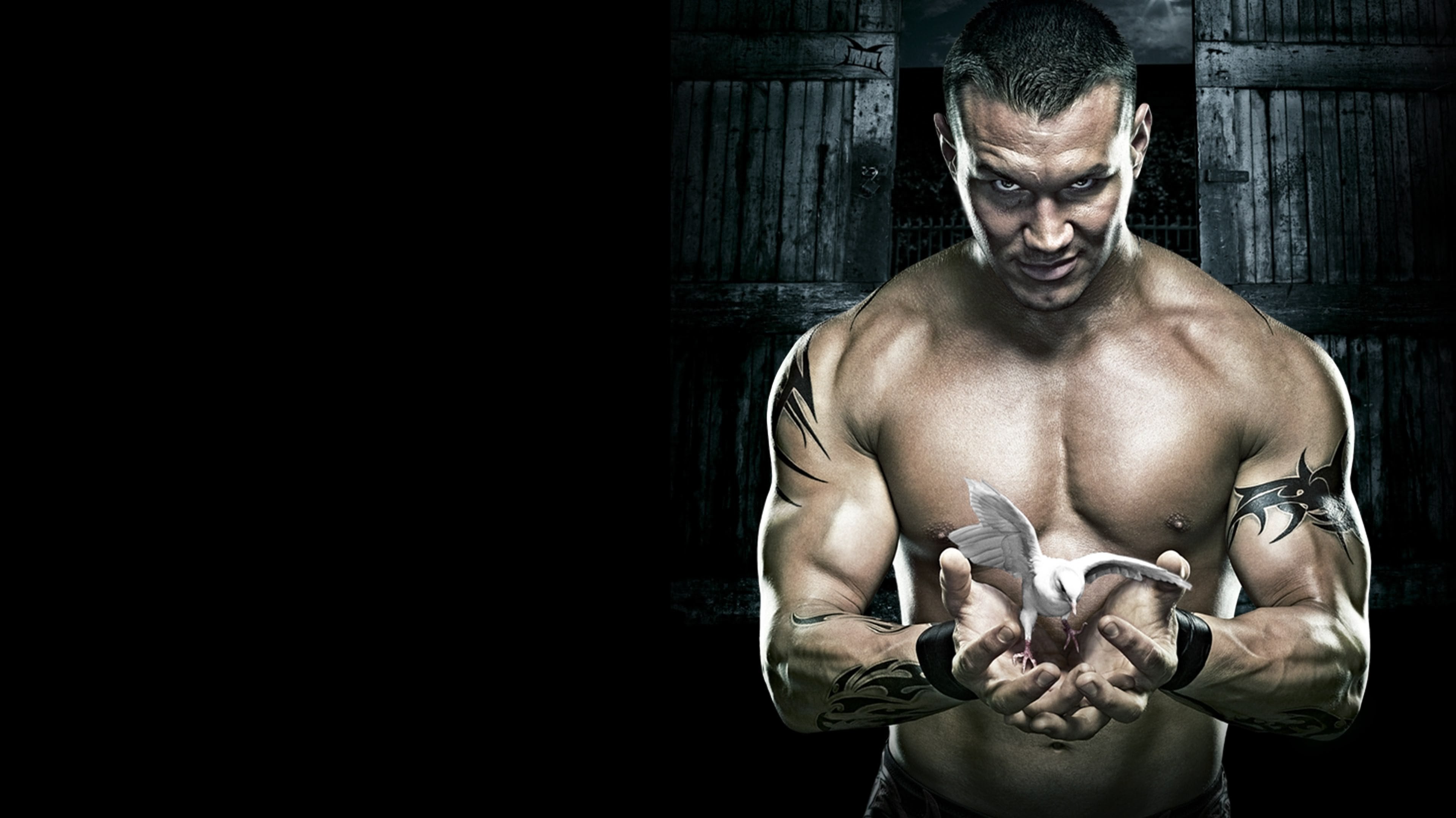 WWE No Mercy 2007|WWE No Mercy 2007