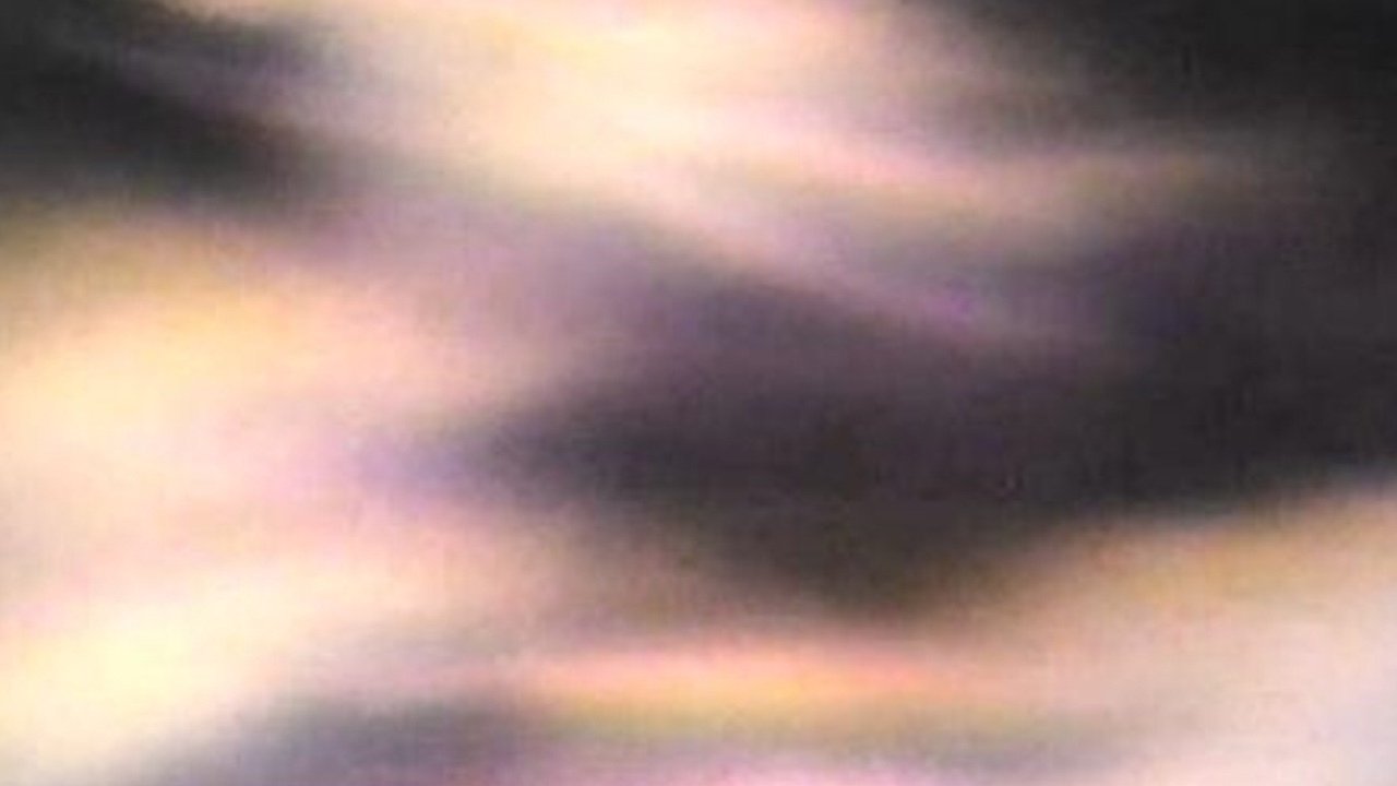 The Text of Light|The Text of Light