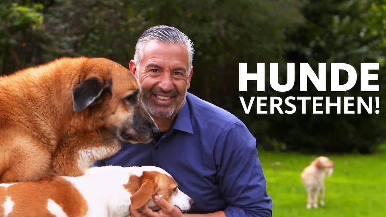 Hunde verstehen!|Hunde verstehen!