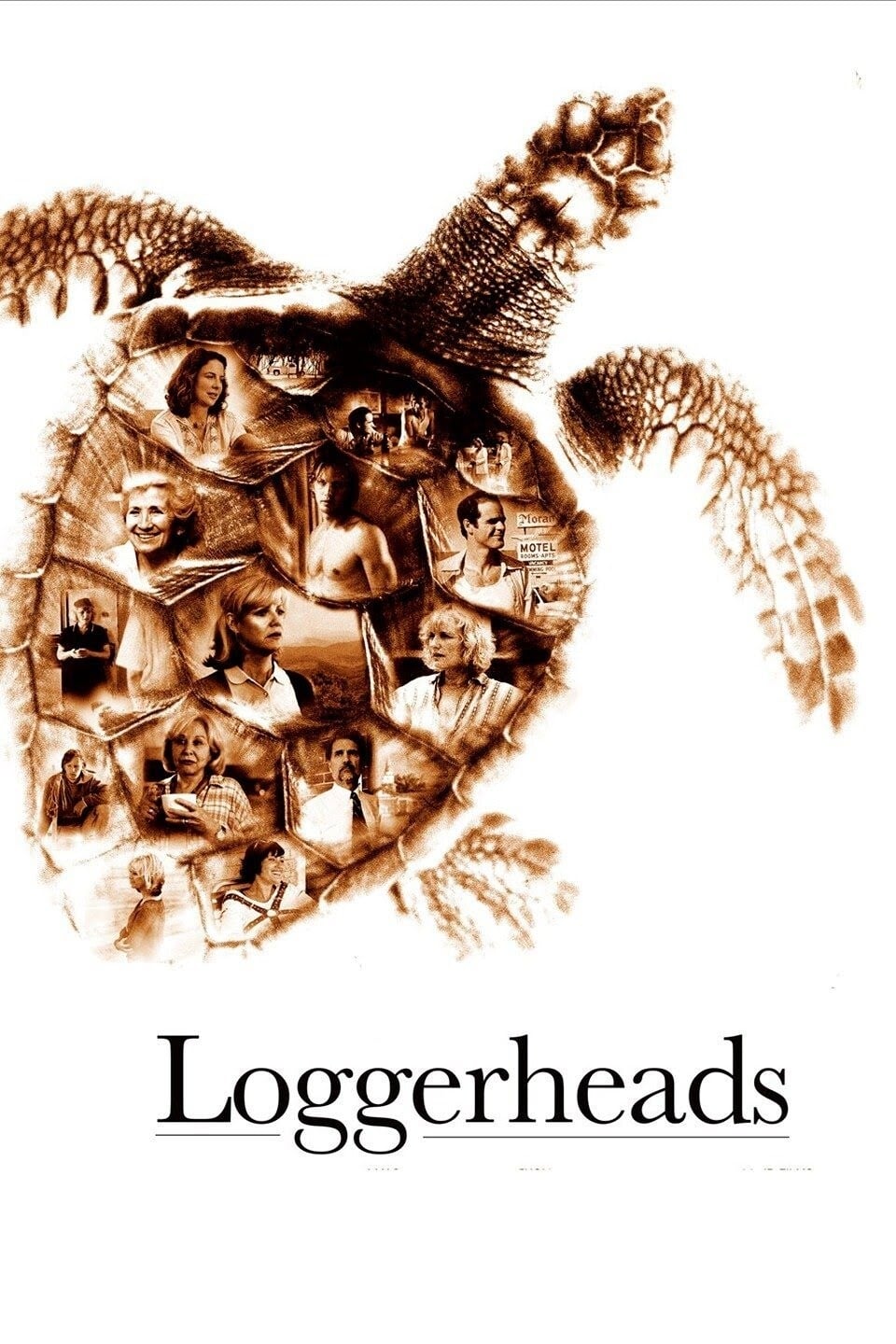 Loggerheads | Loggerheads