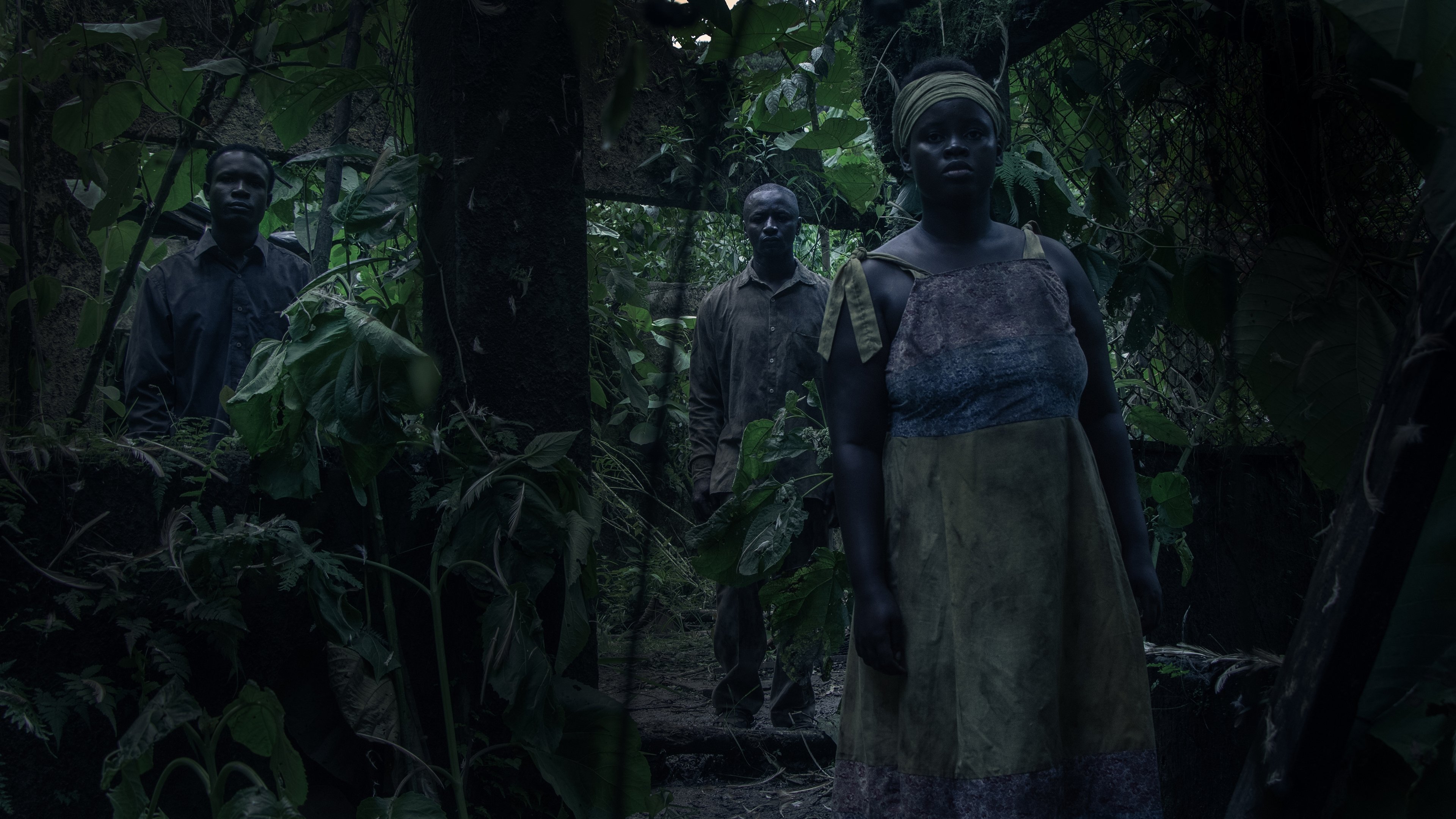 Yo vi tres luces negras|Yo vi tres luces negras