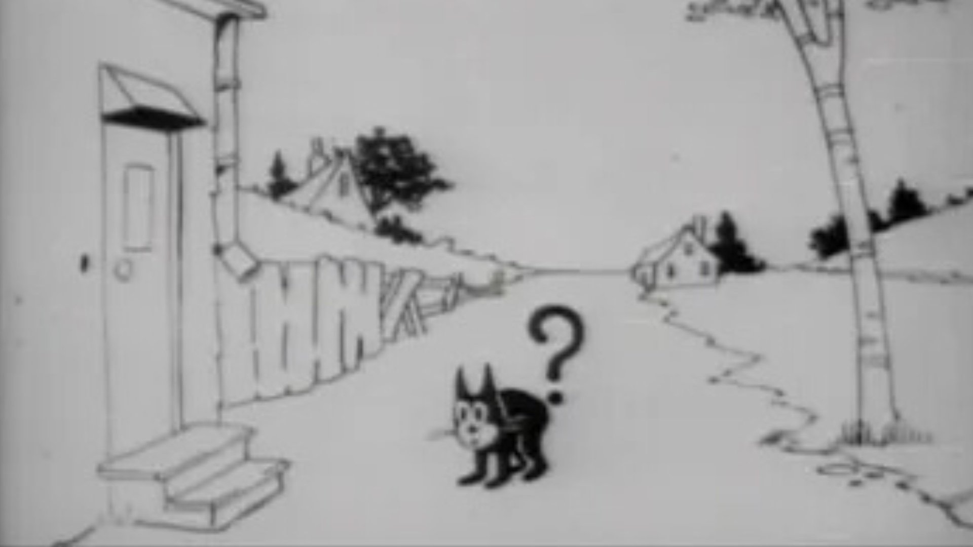 Feline Follies|Feline Follies