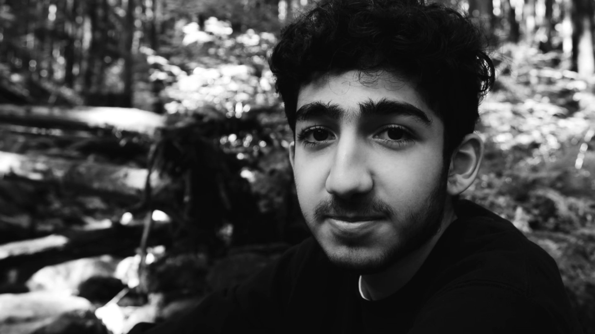 تصویر 0