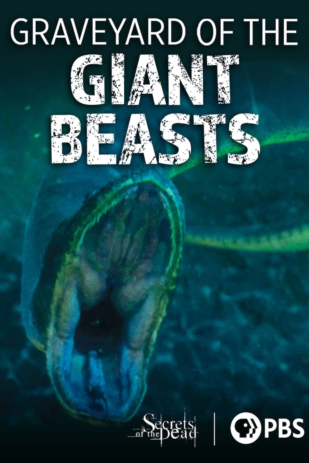 Secrets of the Dead: Graveyard of the Giant Beasts | Secrets of the Dead: Graveyard of the Giant Beasts