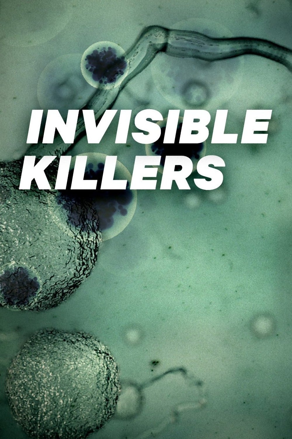 Invisible Killers | Invisible Killers