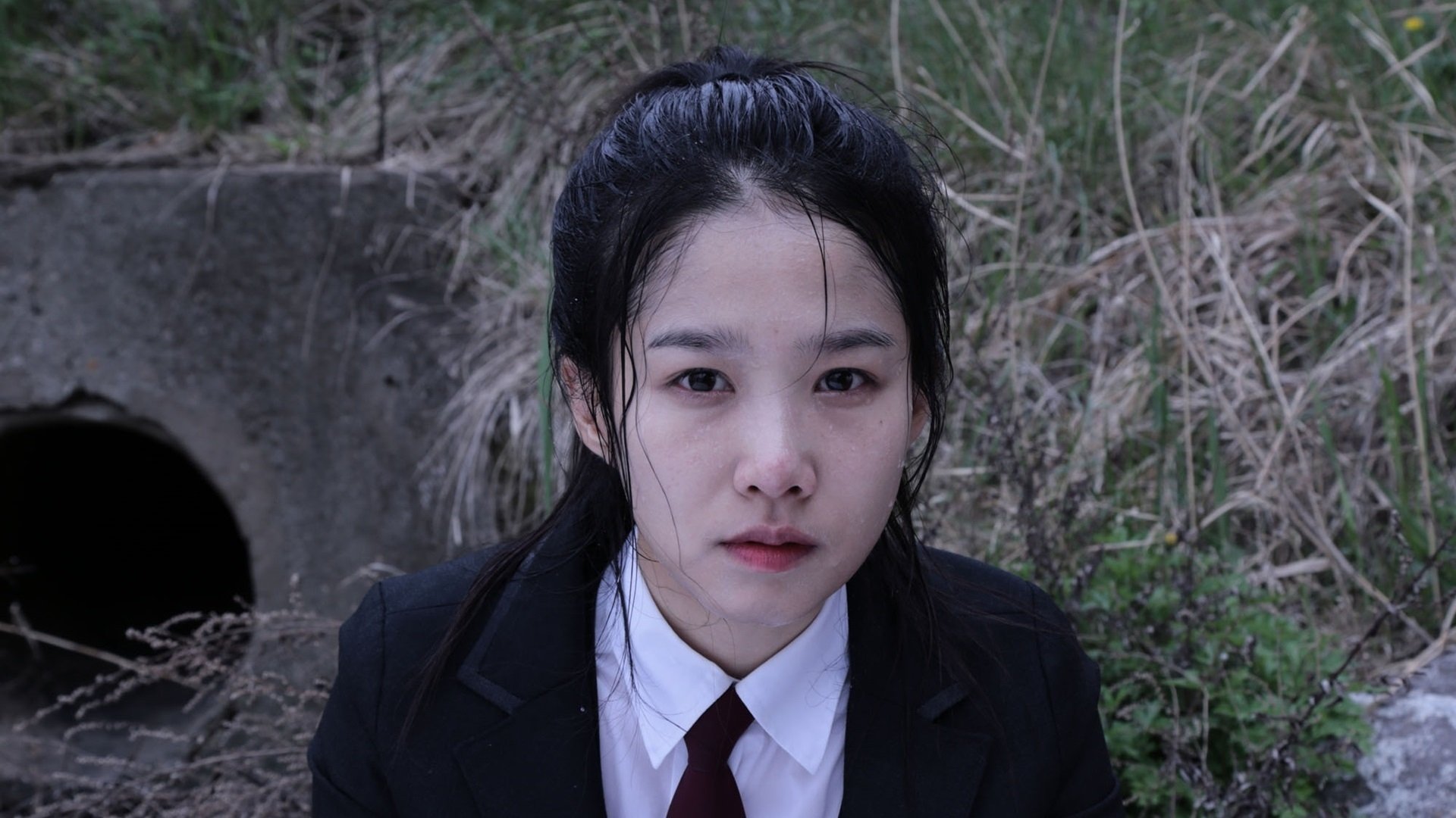 이수아|이수아