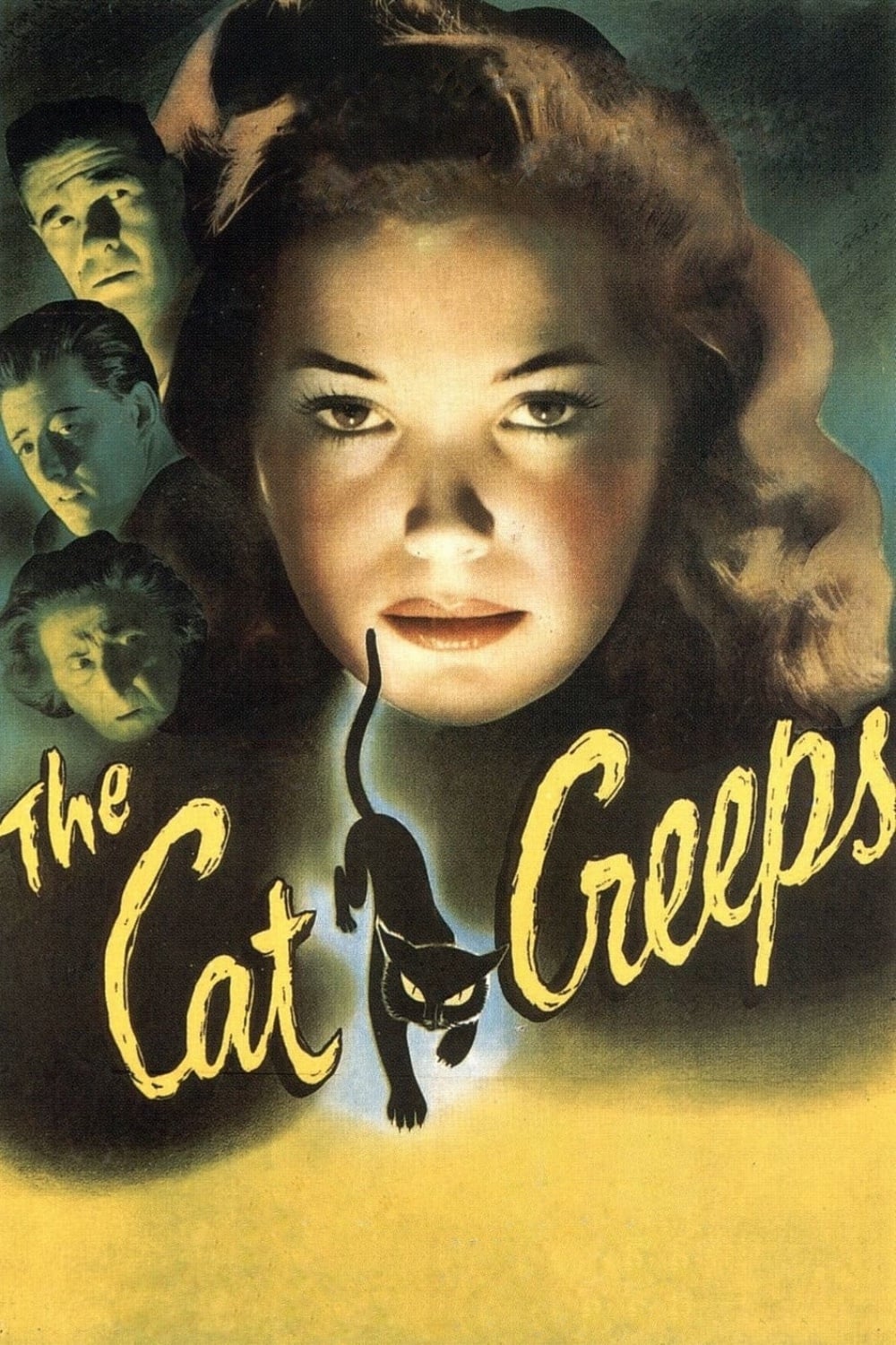 The Cat Creeps | The Cat Creeps