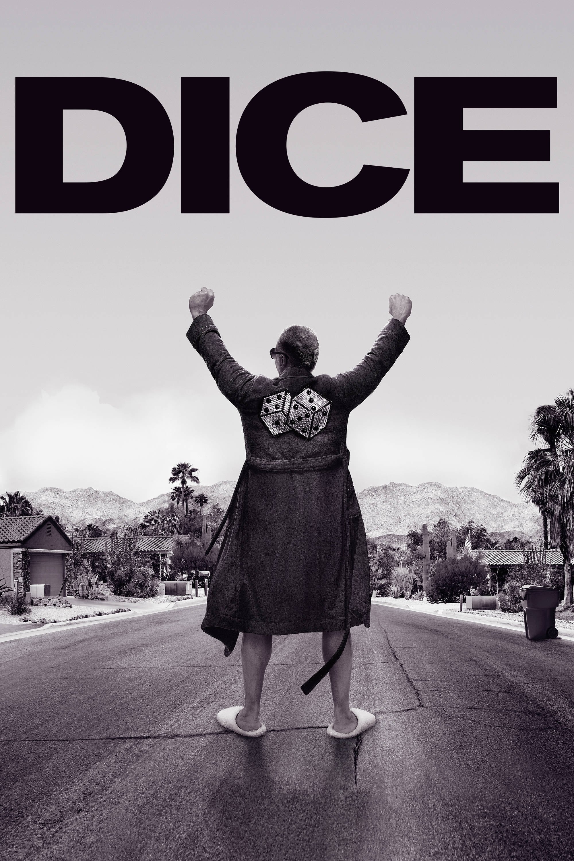 Dice | Dice