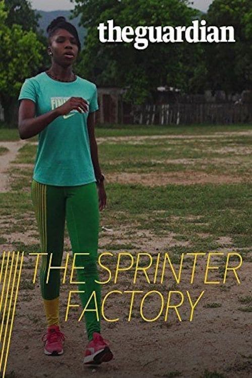 Sprinter Factory | Sprinter Factory