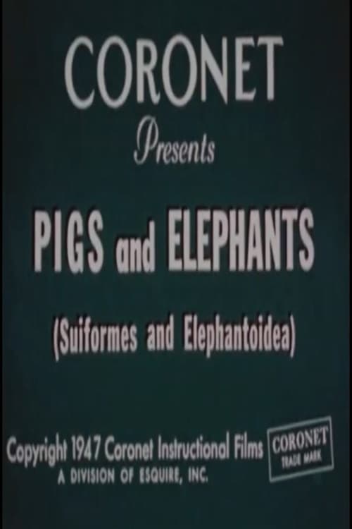 Pigs and Elephants (Suiformes and Elephantoidea) | Pigs and Elephants (Suiformes and Elephantoidea)