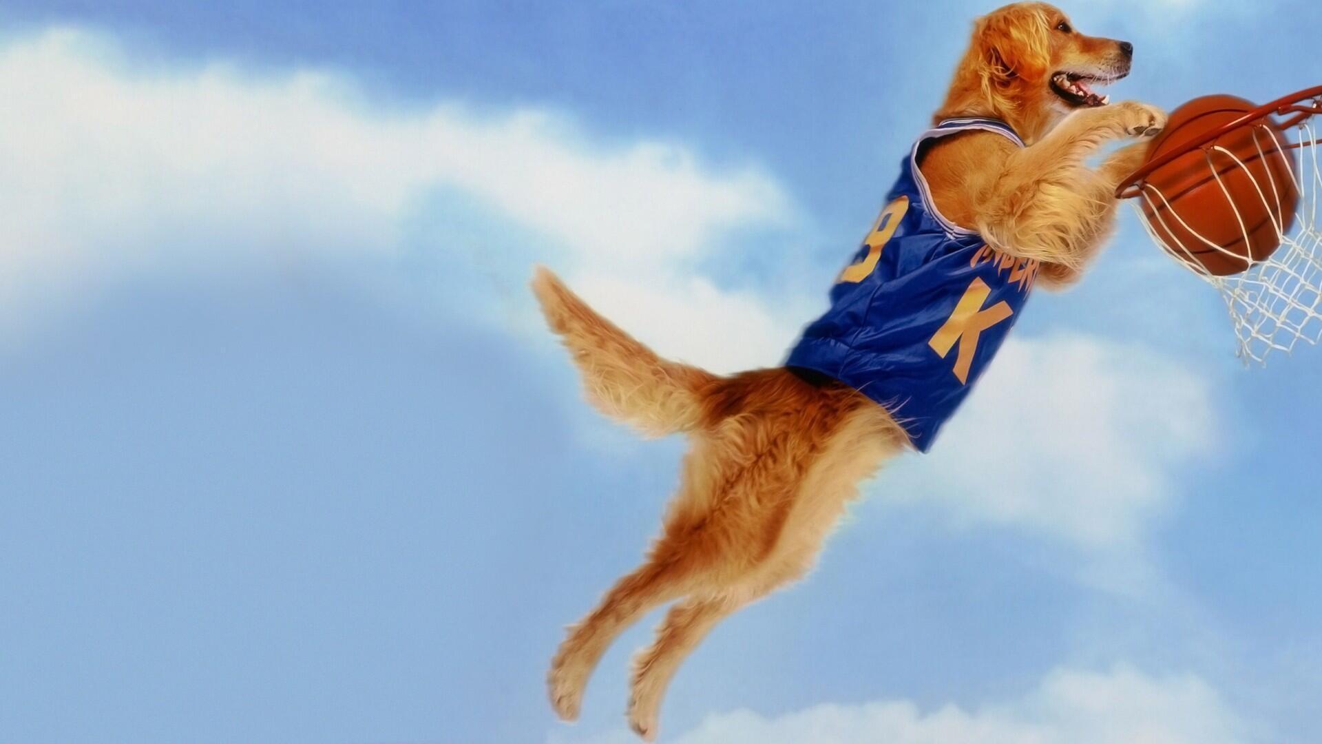 Air Bud|Air Bud