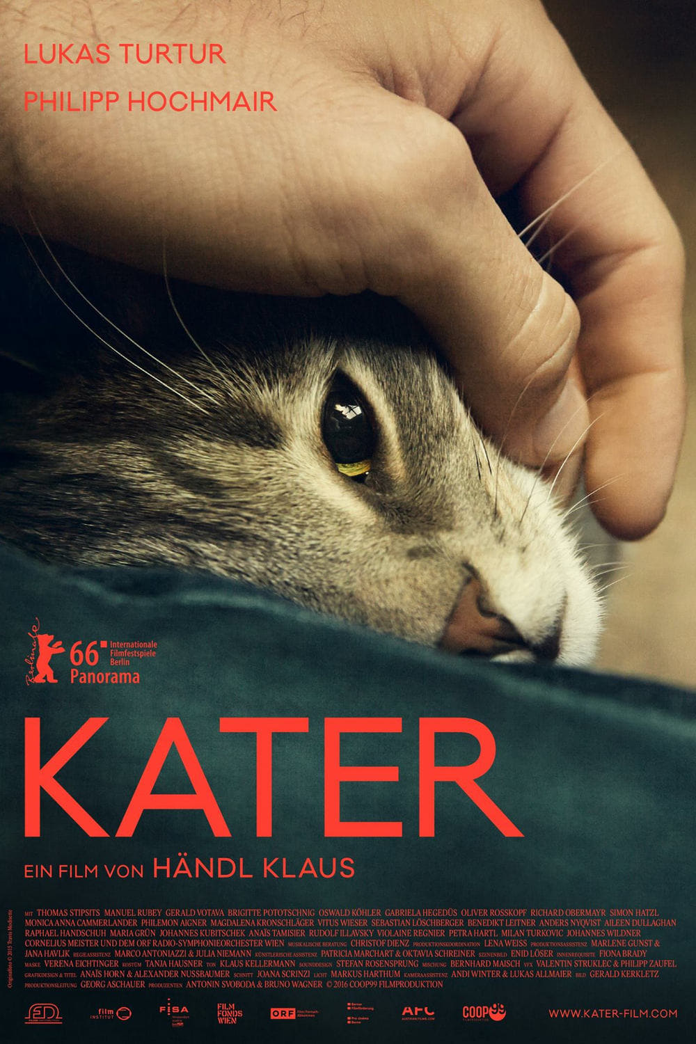 Kater | Kater