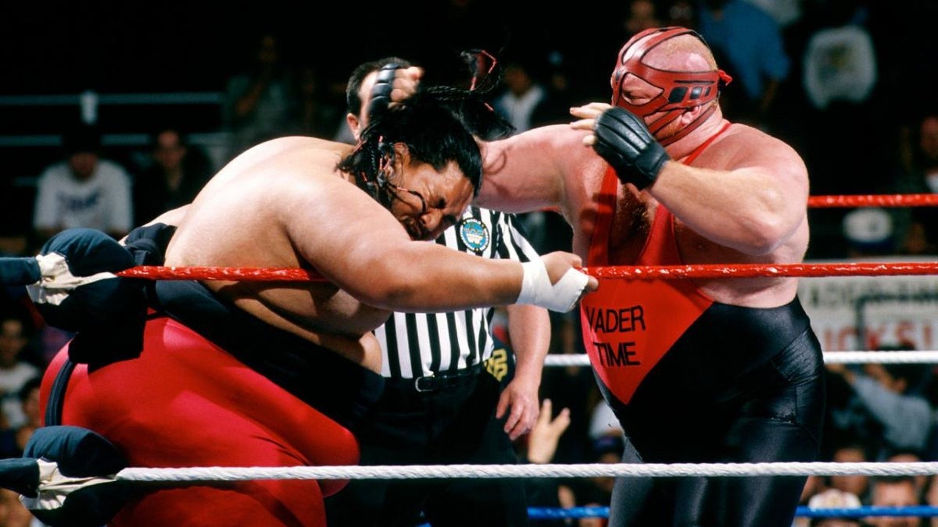 WWE In Your House 8: Beware of Dog|WWE In Your House 8: Beware of Dog
