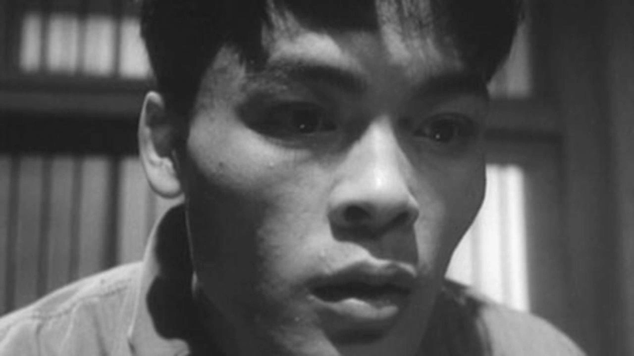 真昼の暗黒|真昼の暗黒