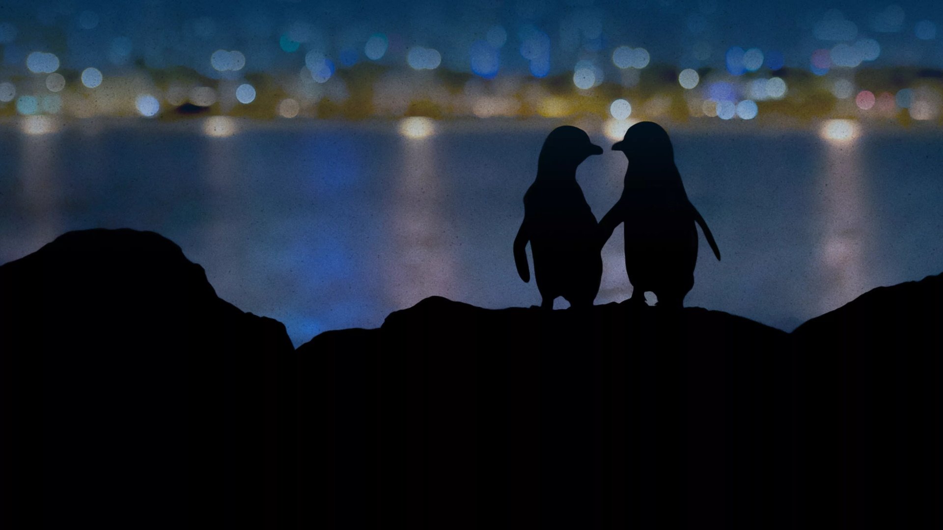 Meet the Penguins|Meet the Penguins