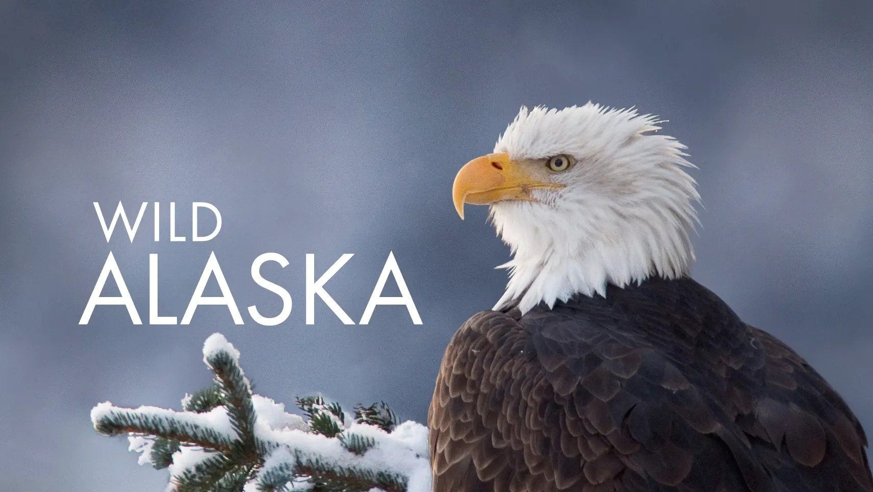 Alaska: Earth's Frozen Kingdom|Alaska: Earth's Frozen Kingdom