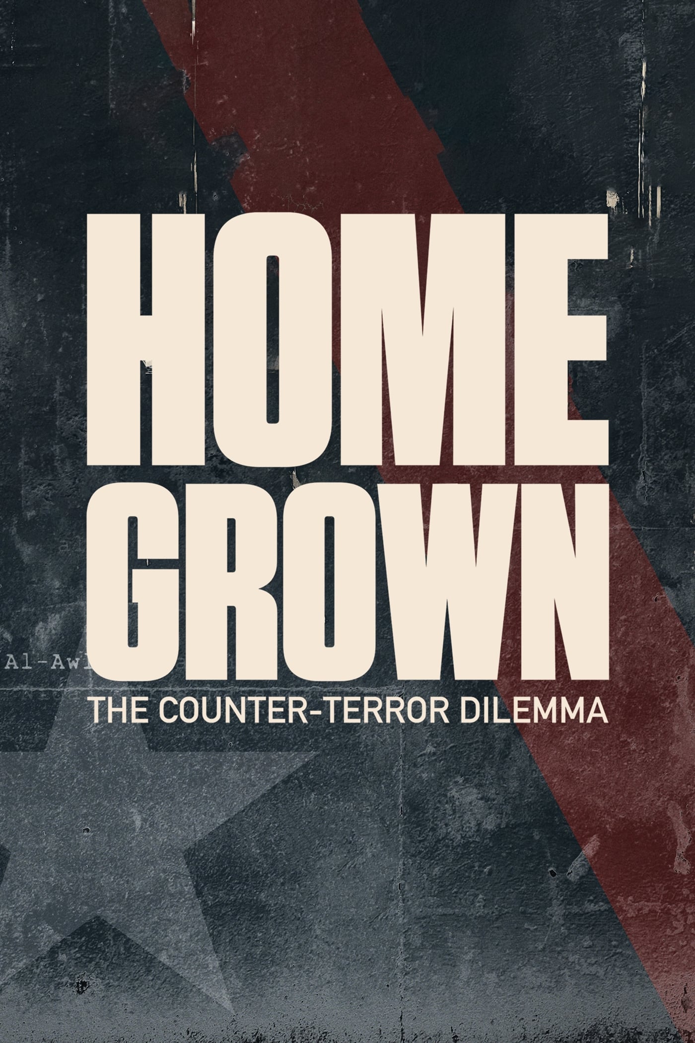 Homegrown: The Counter-Terror Dilemma | Homegrown: The Counter-Terror Dilemma