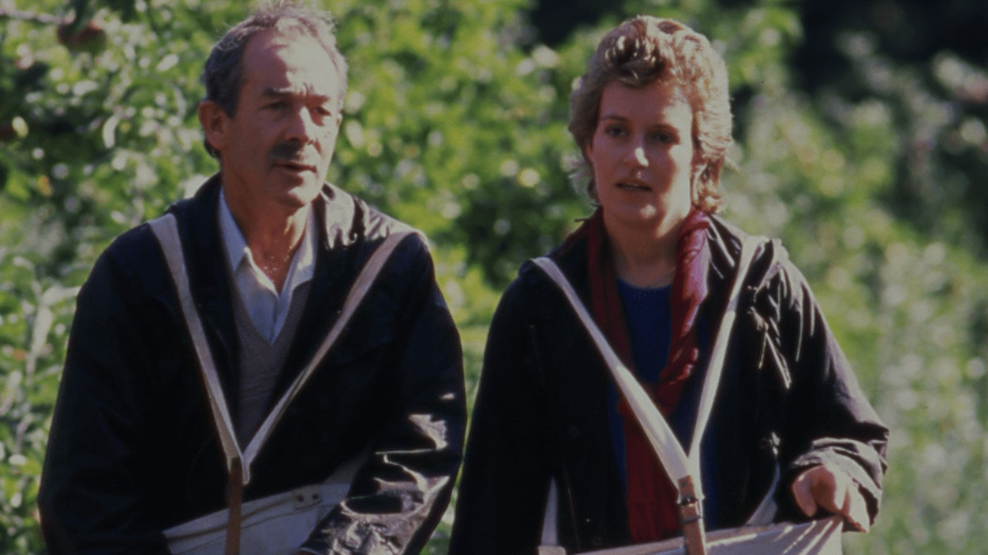 Grim Pickings|Grim Pickings
