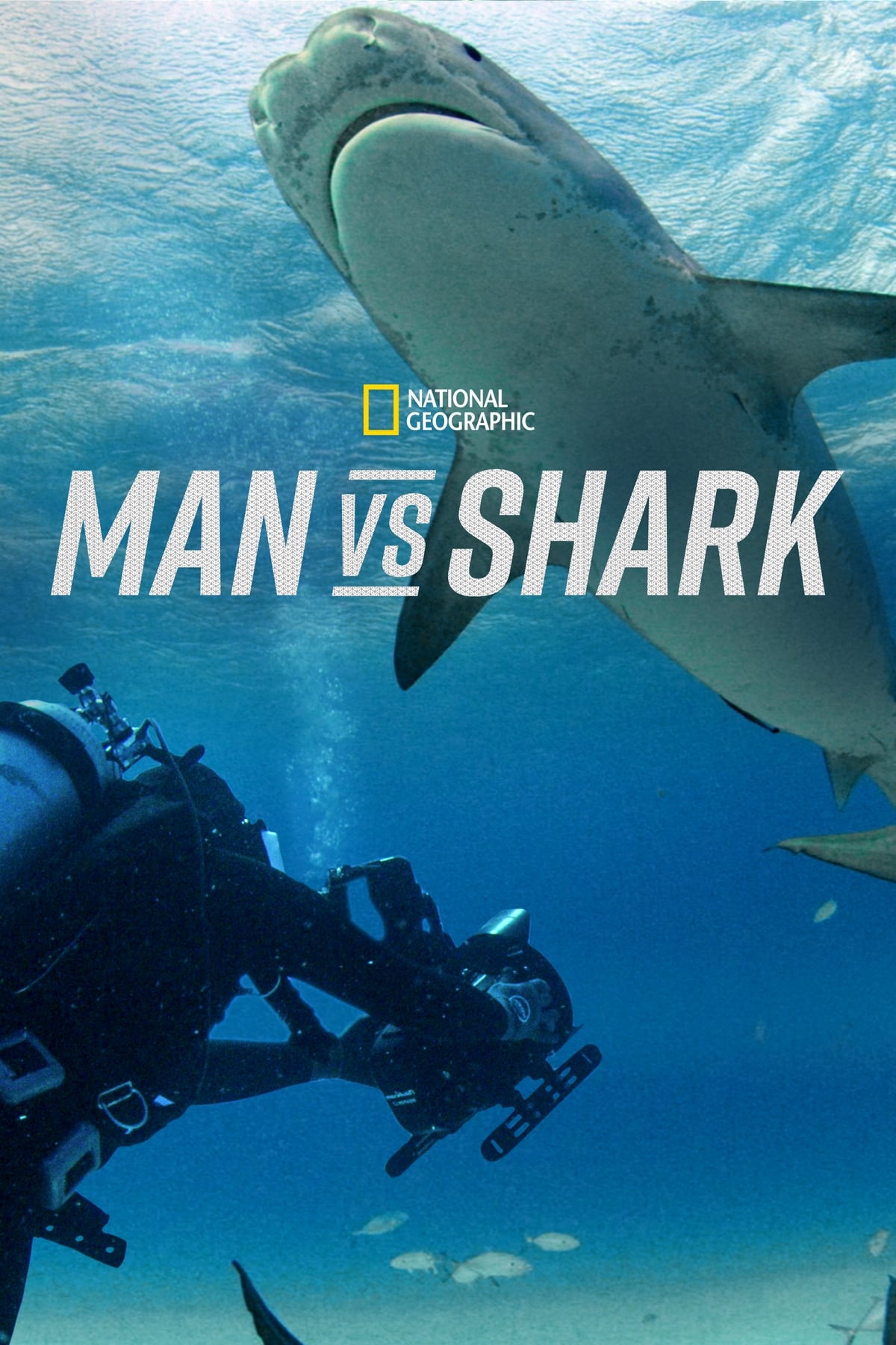 Man vs. Shark | Man vs. Shark