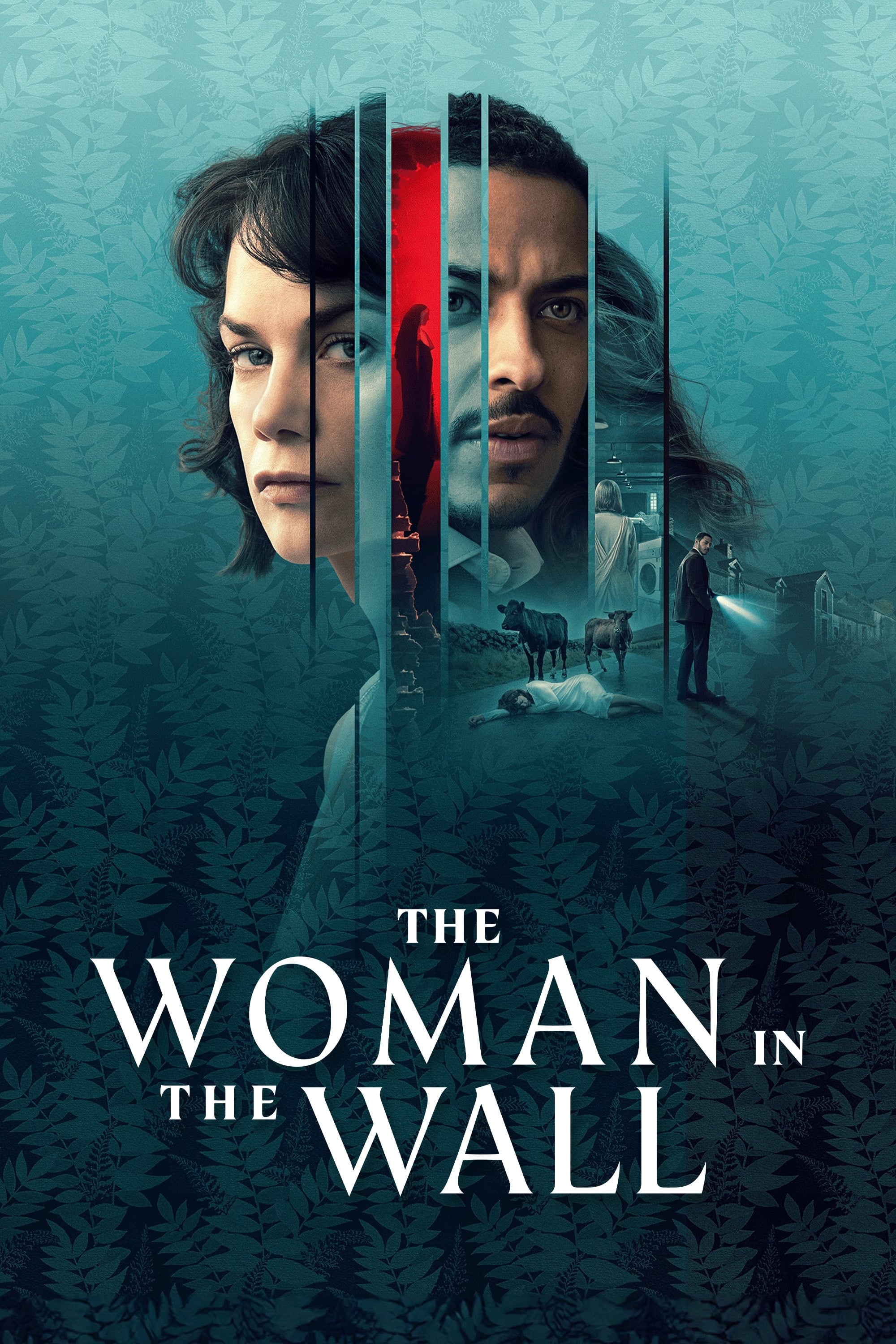 The Woman in the Wall | The Woman in the Wall