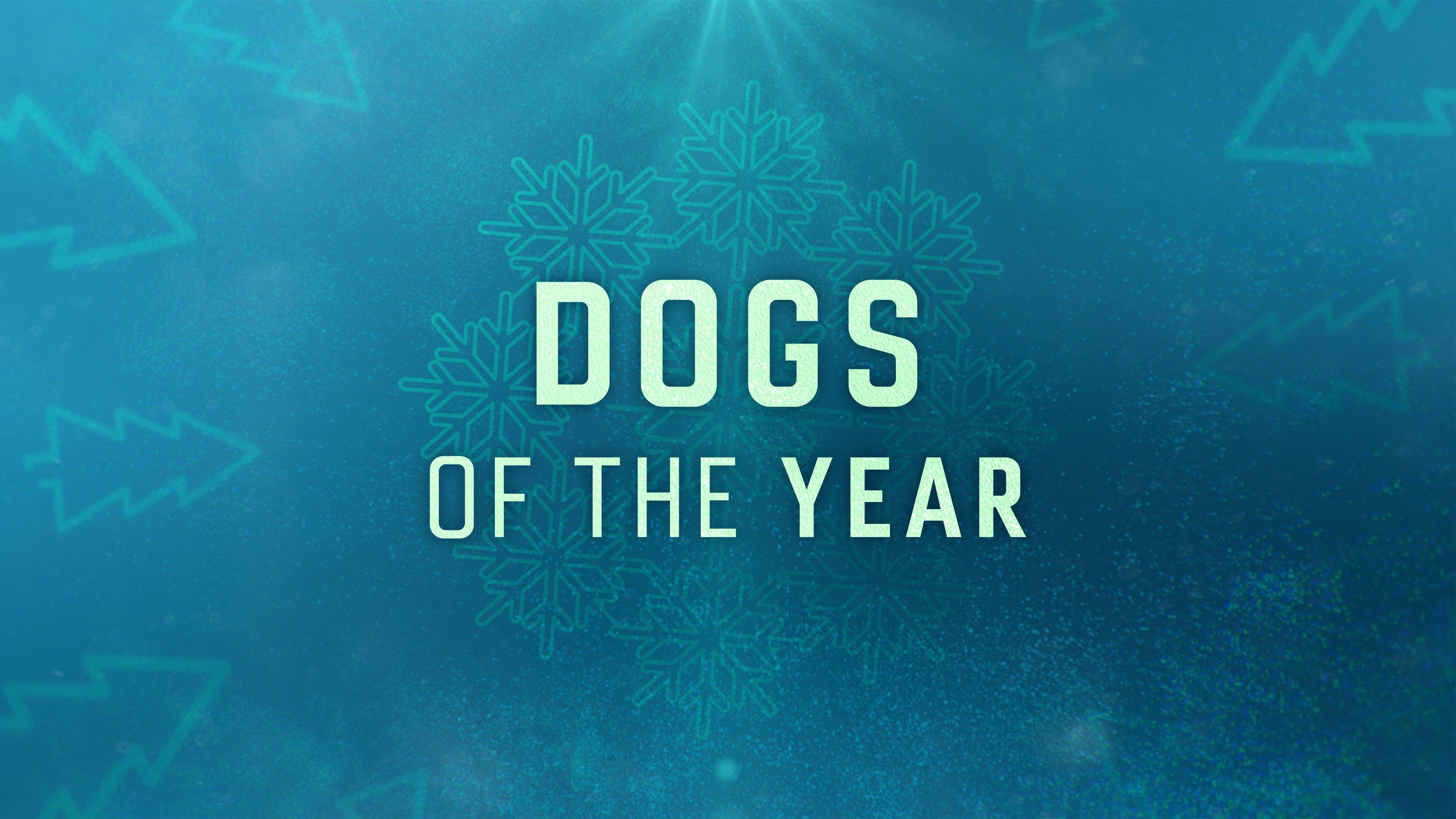 Dogs of the Year|Dogs of the Year