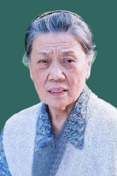 بازیگر Shuyuan Jin  
