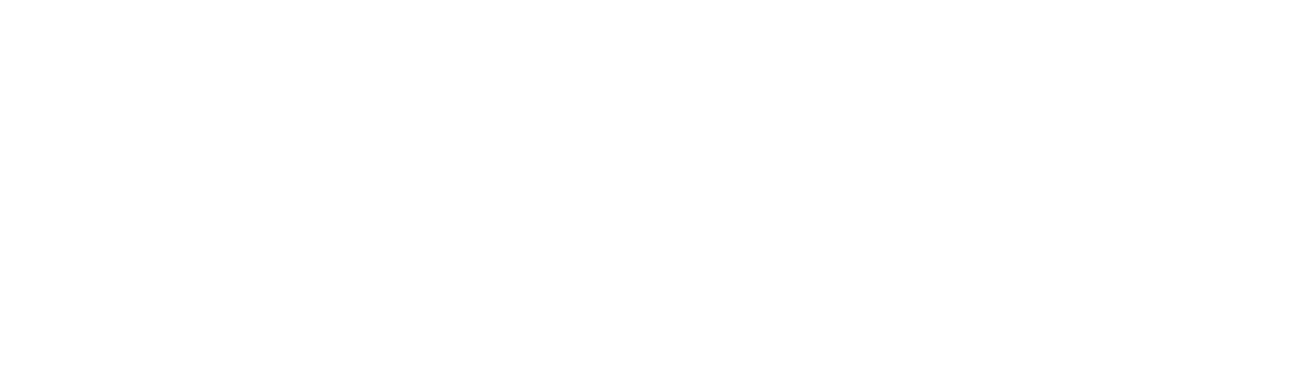 Shoot Boxing
