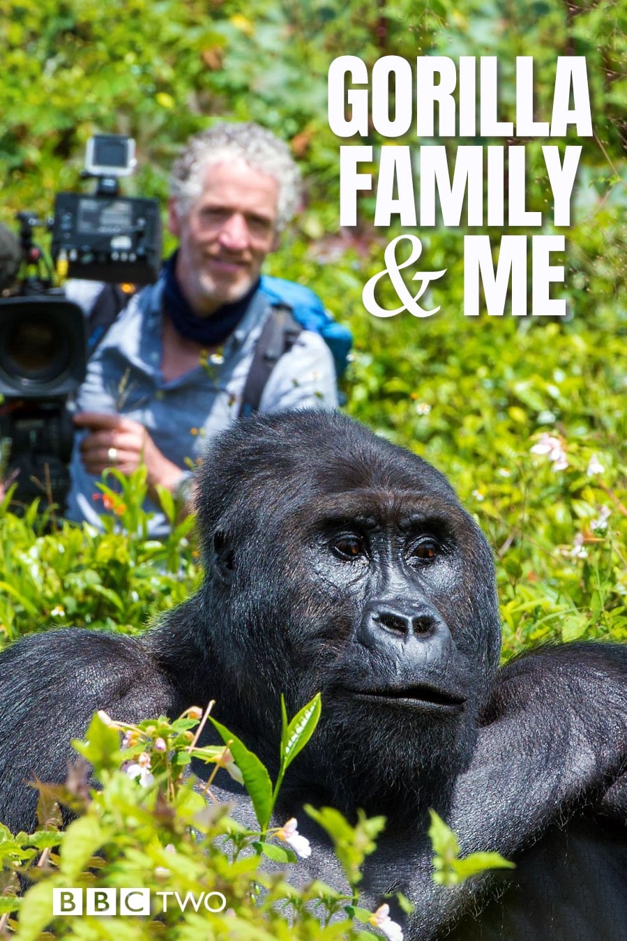 Gorilla Family & Me | Gorilla Family & Me