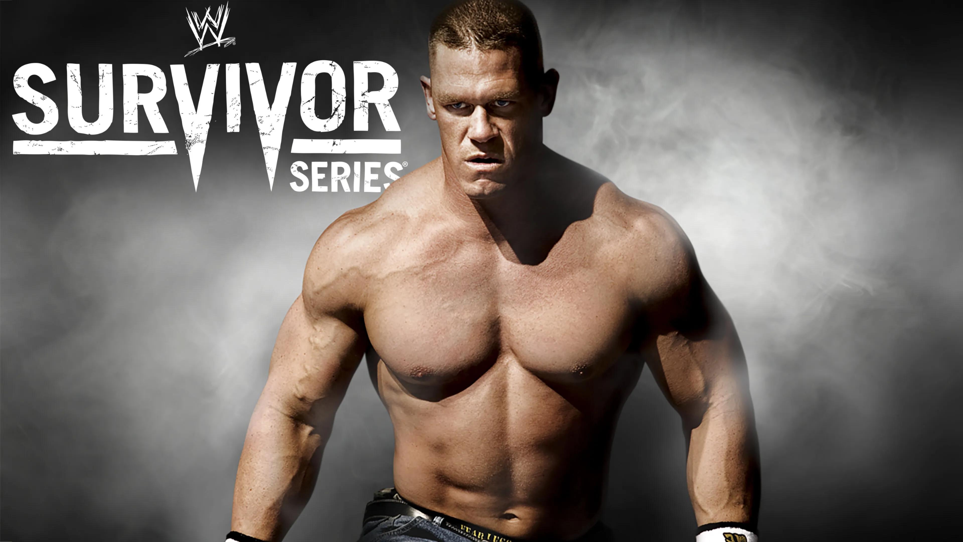 WWE Survivor Series 2008|WWE Survivor Series 2008