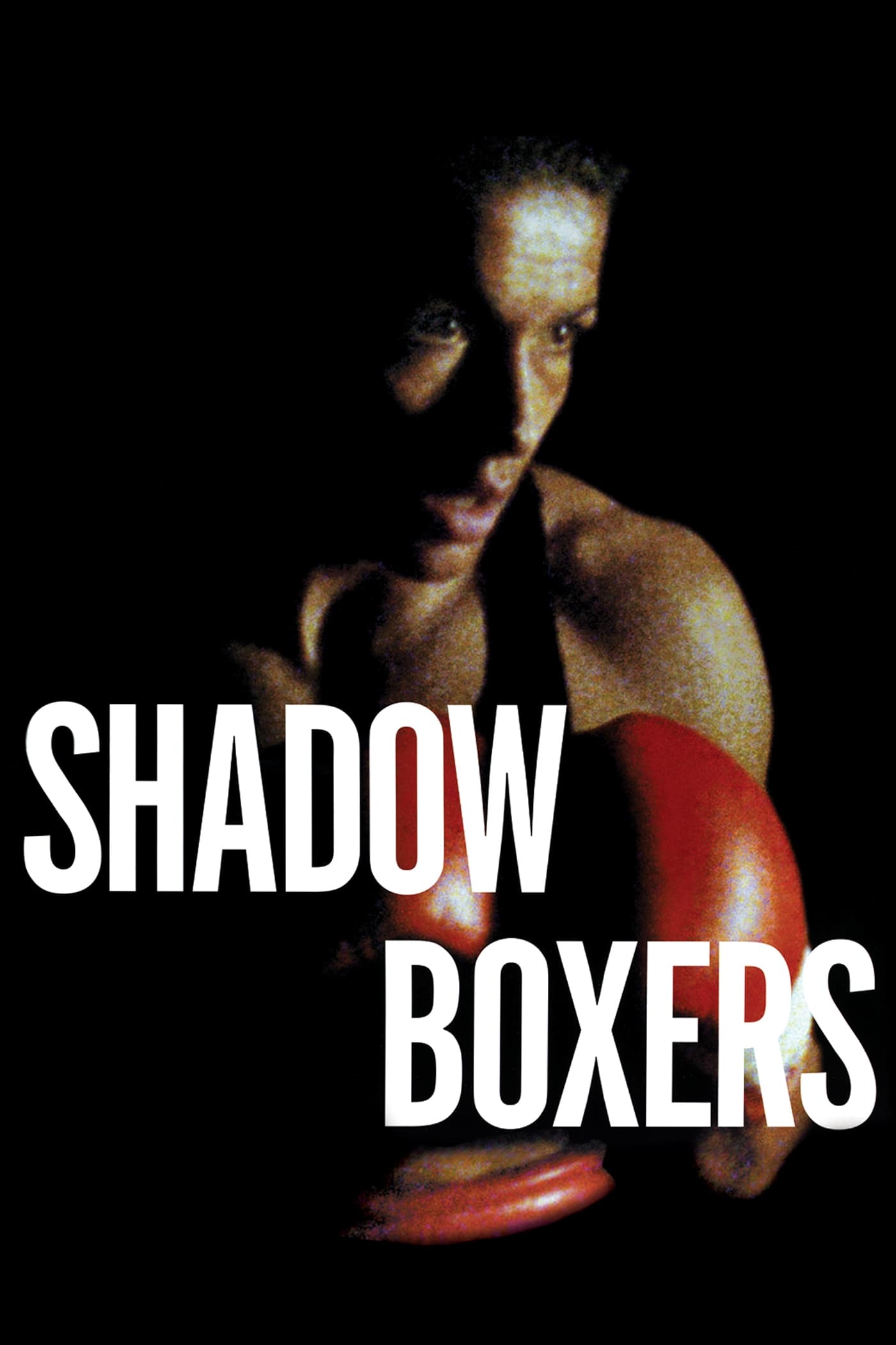 Shadow Boxers | Shadow Boxers