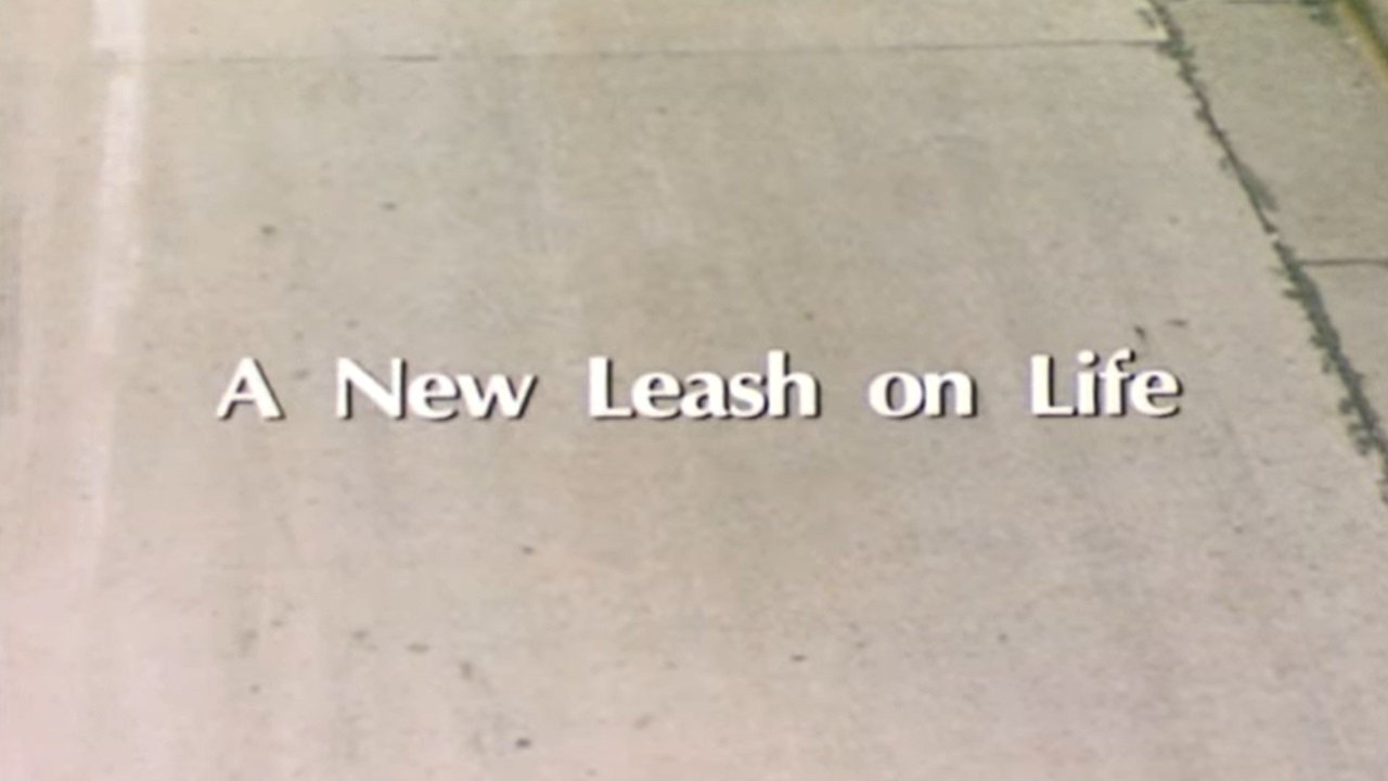 A New Leash On Life|A New Leash On Life