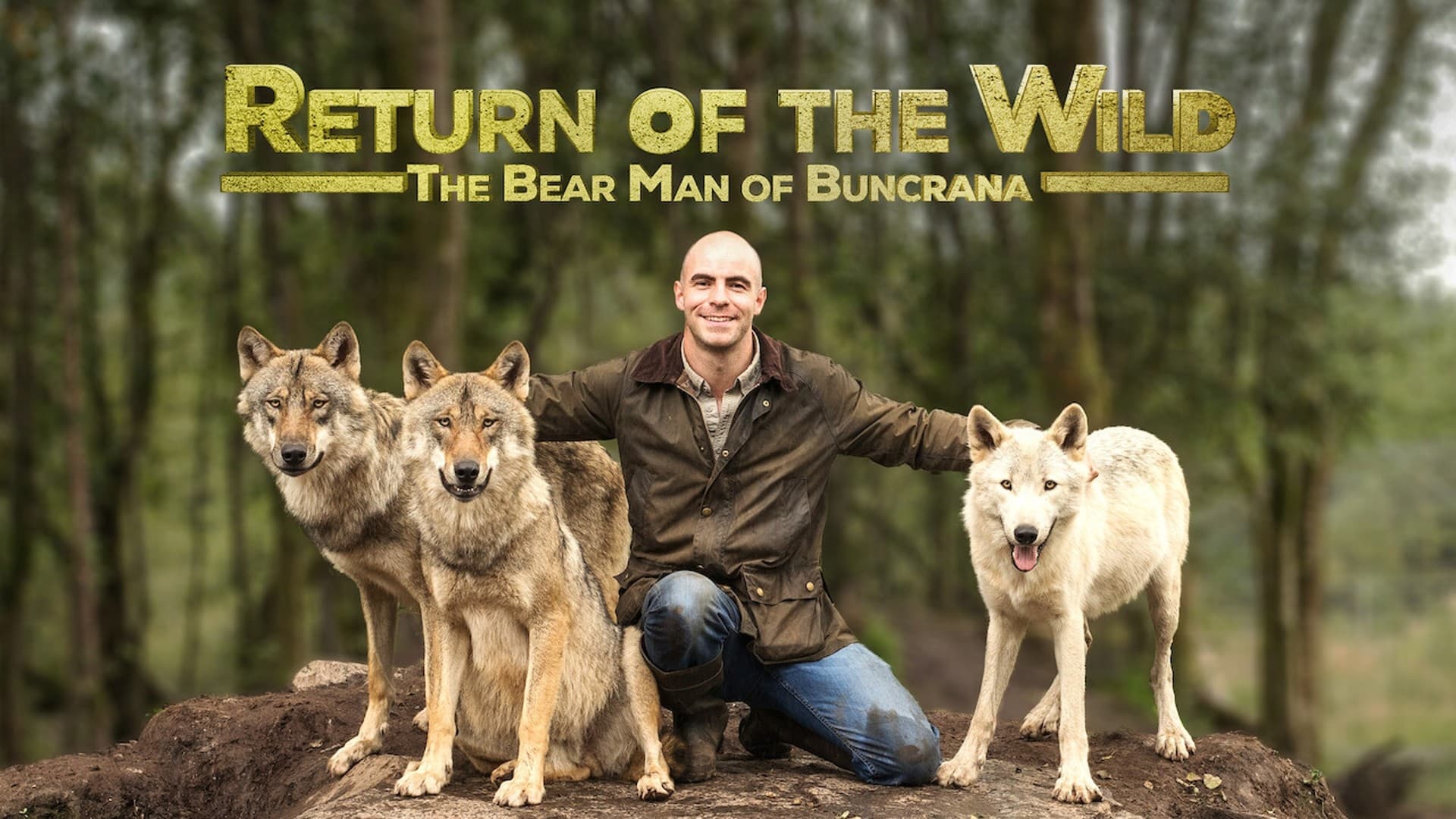 Return of the Wild: The Bearman of Buncrana|Return of the Wild: The Bearman of Buncrana