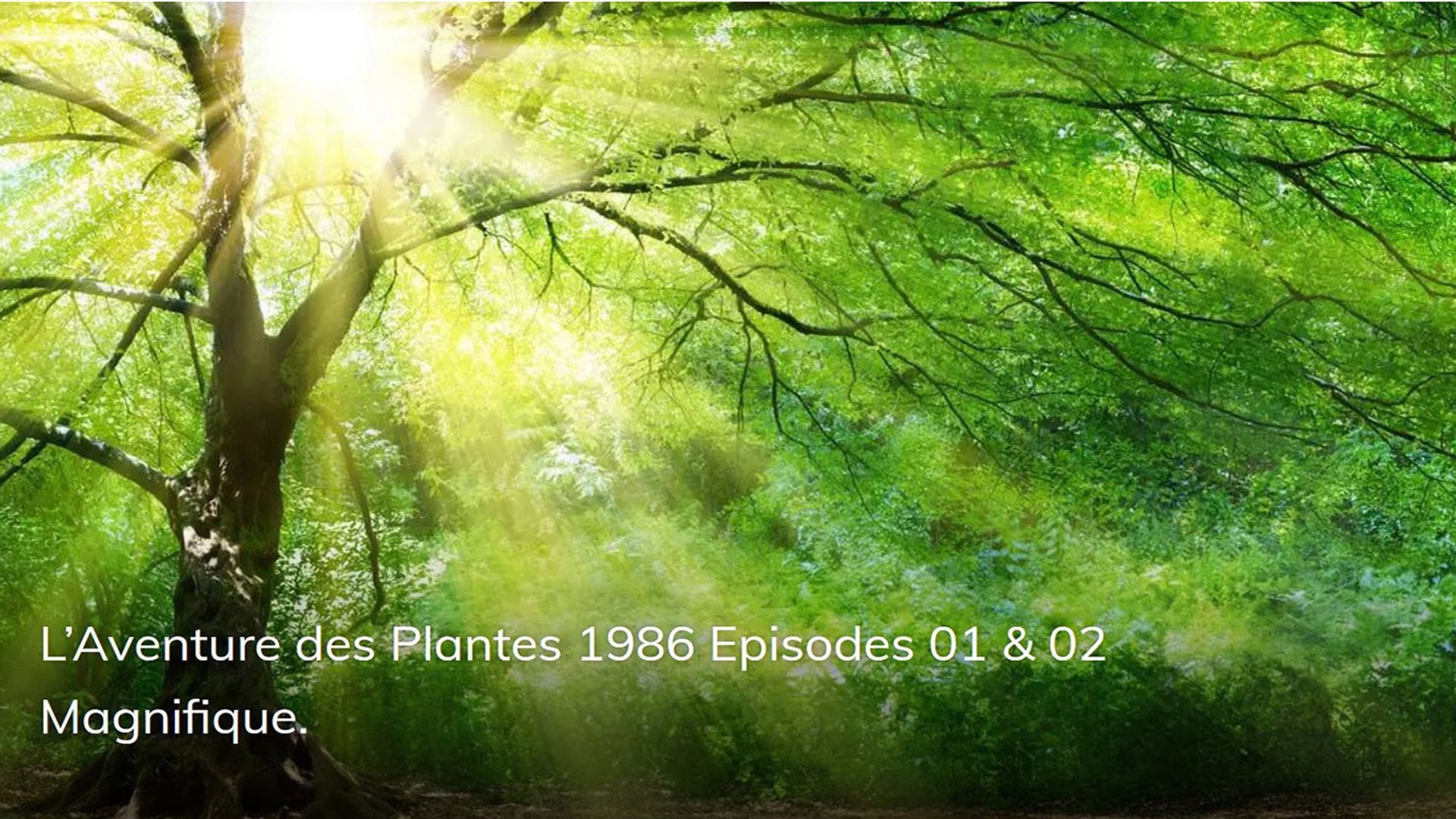 L'Aventure des Plantes|L'Aventure des Plantes